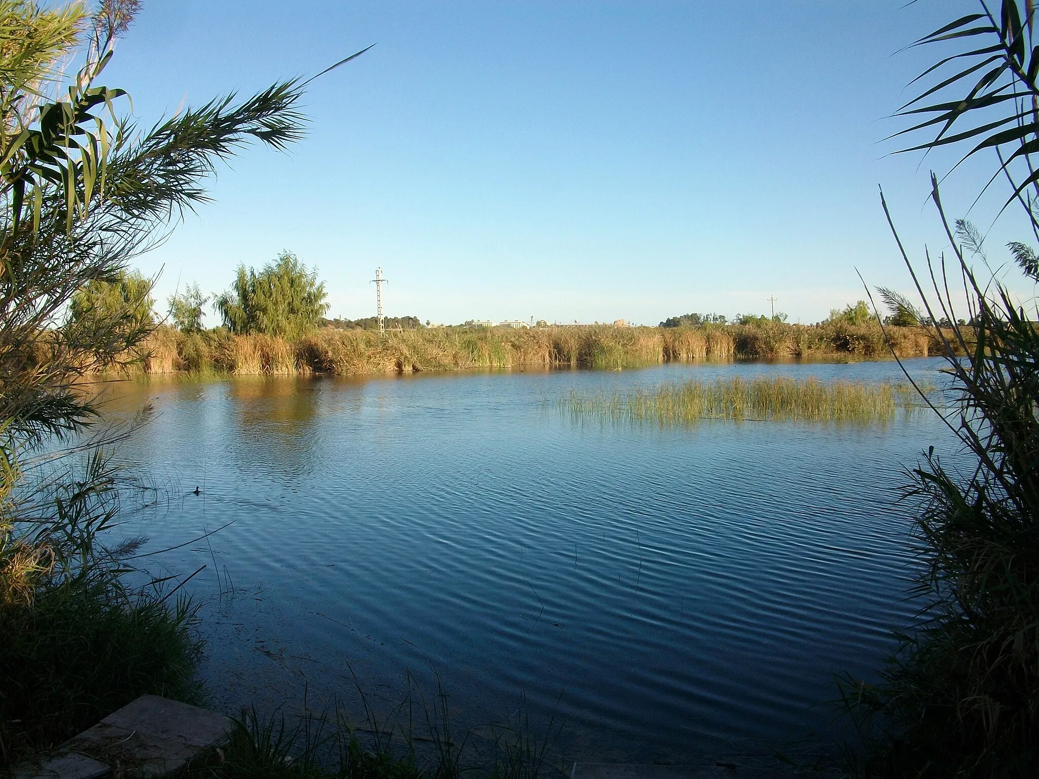 Photo showing: Estany d'Almenara, Plana Baixa.