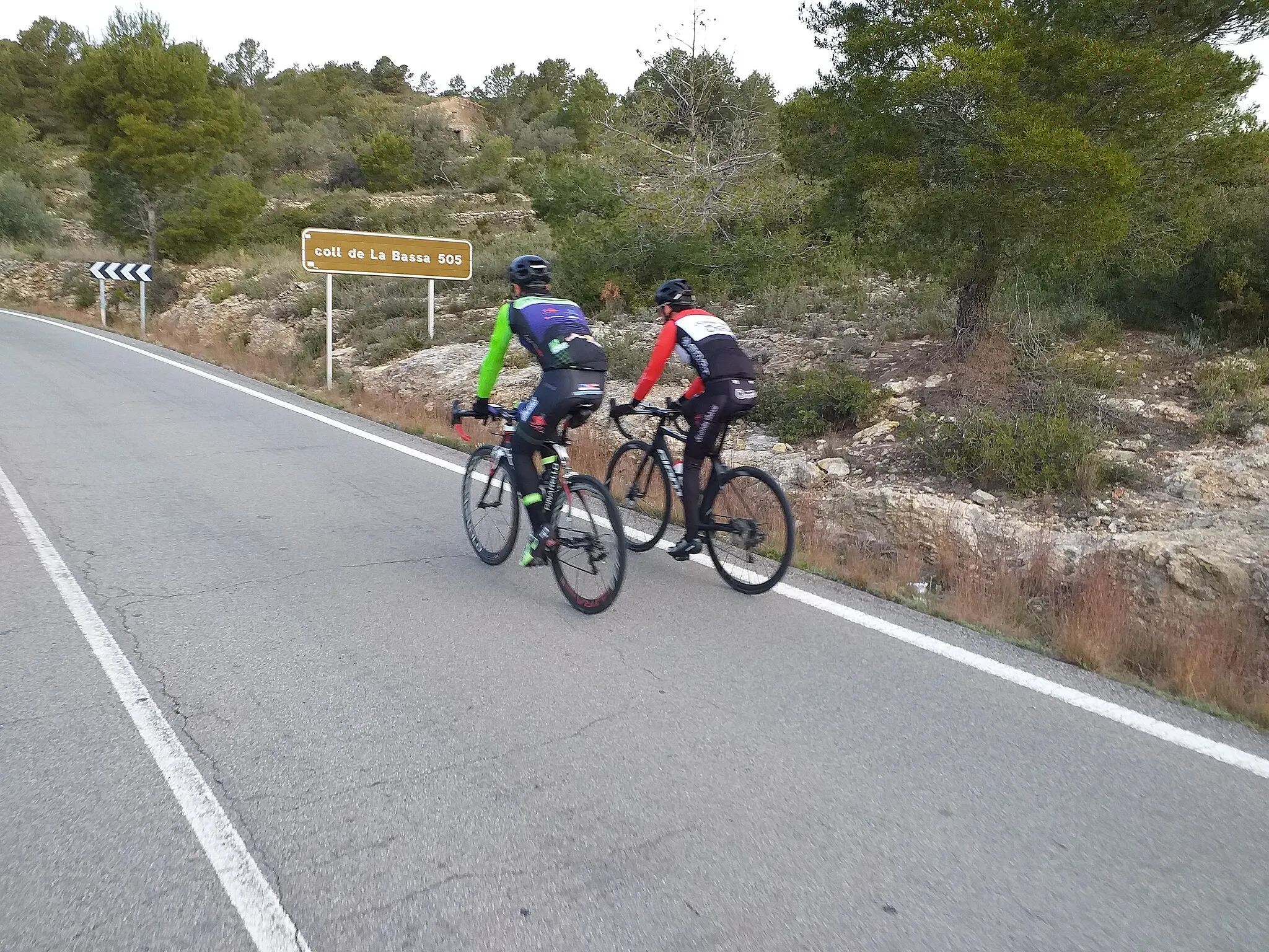 Photo showing: Ciclistes coronant el Coll de la Bassa