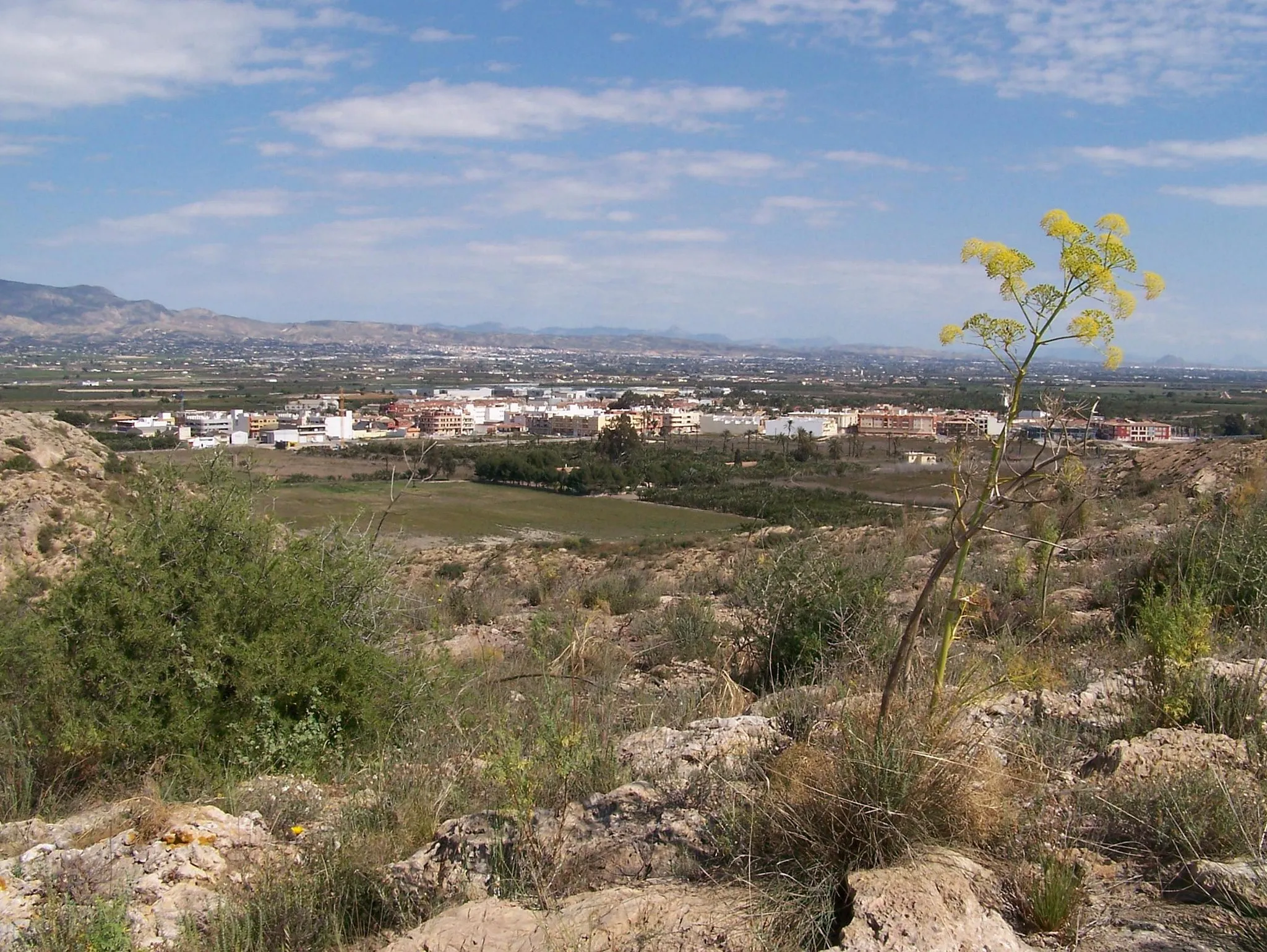 Photo showing: San Isidro de Albatera (San Isidro desde 1993) (Alicante, España), desde el Cabezo de los Ojales/de las Fuentes.