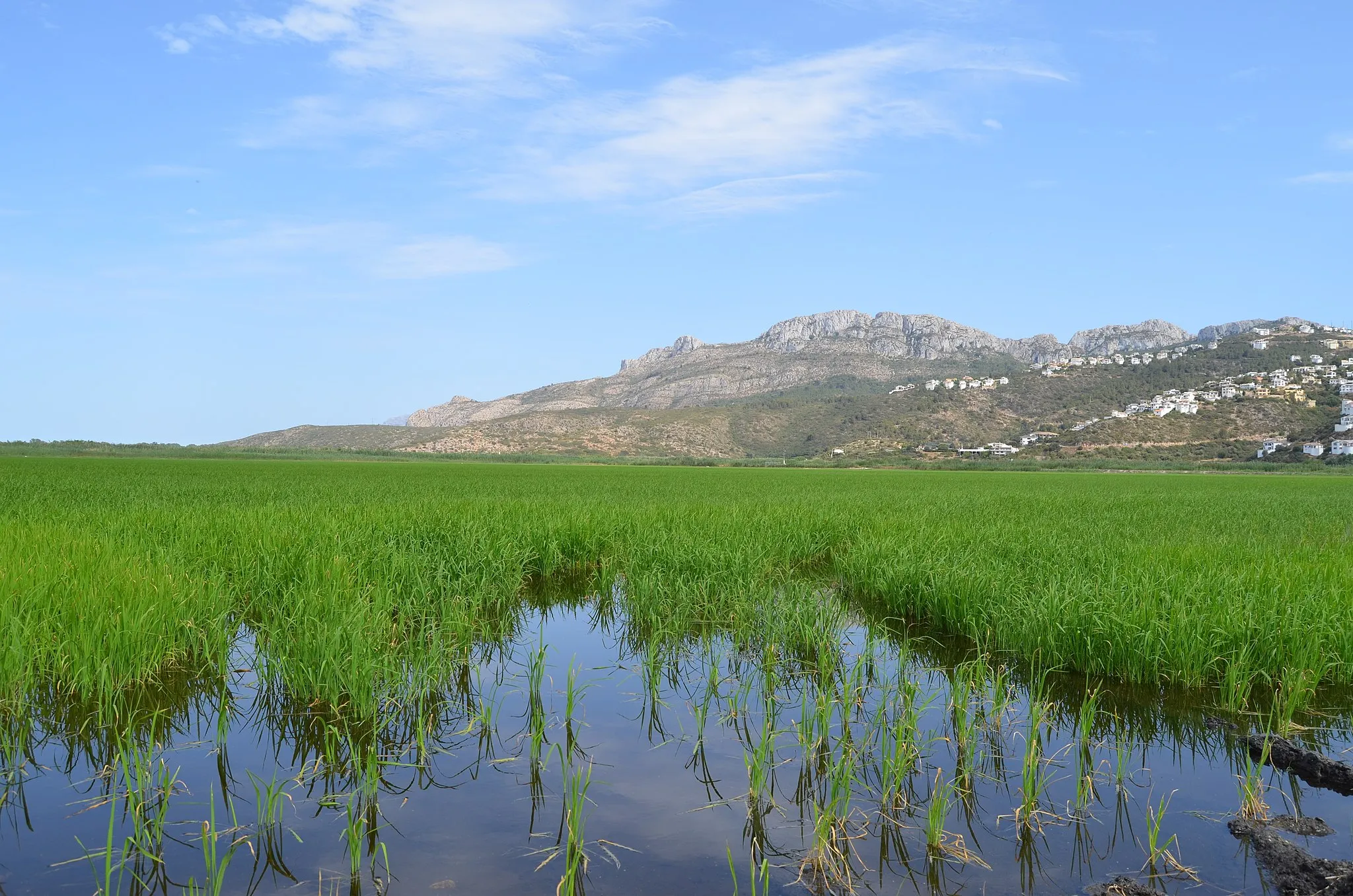 Photo showing: This is a photography of a Special Area of Conservation in Spain with the ID: