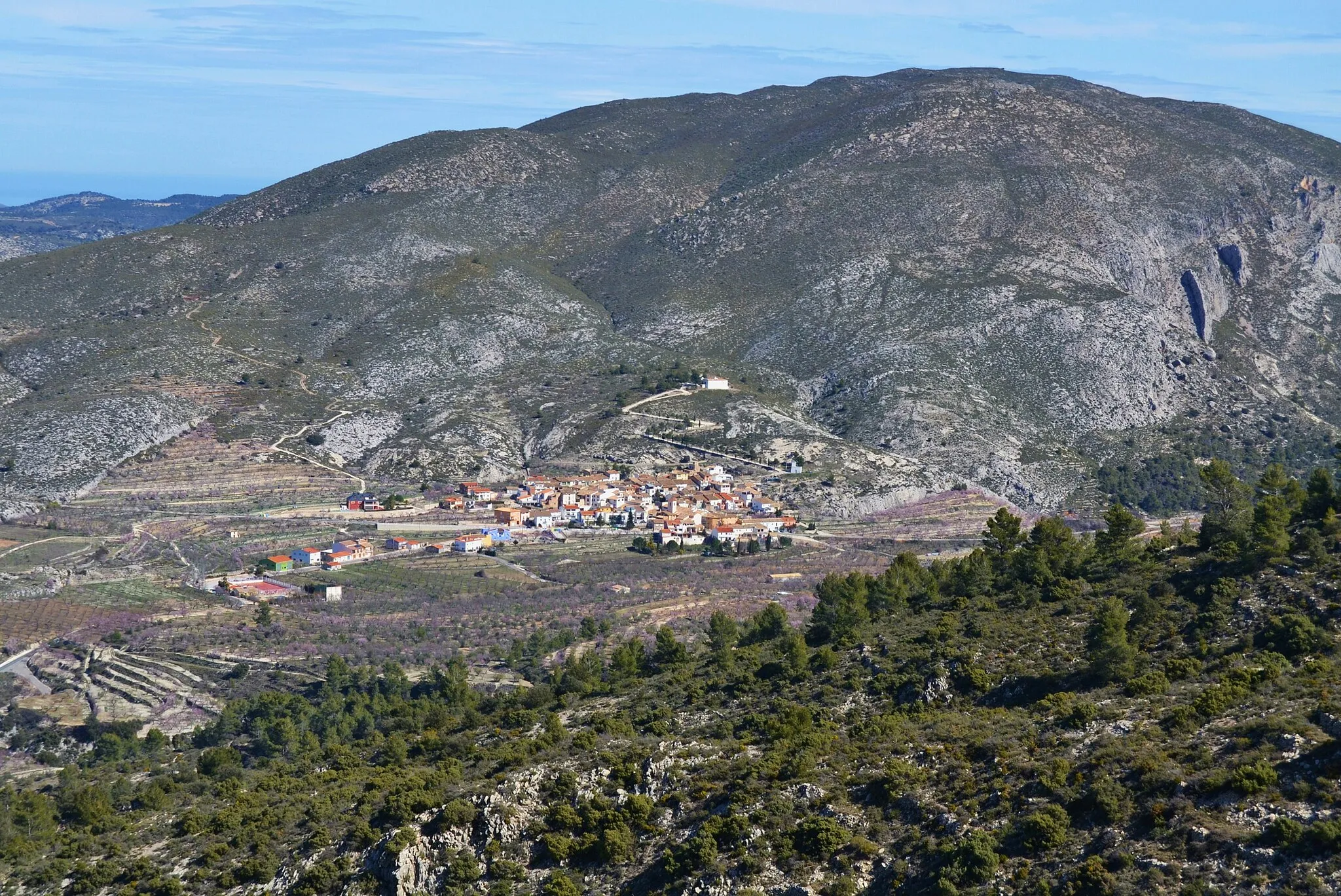 Photo showing: Fageca vista des de la Serrella.