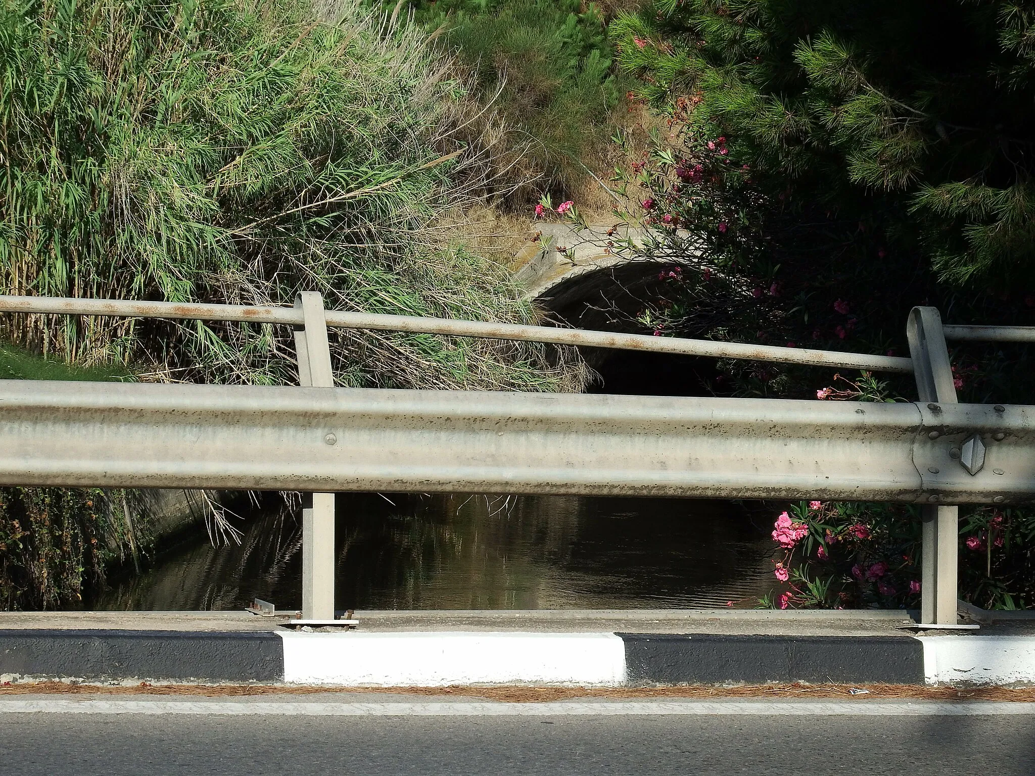 Photo showing: Acequia en Pinedo