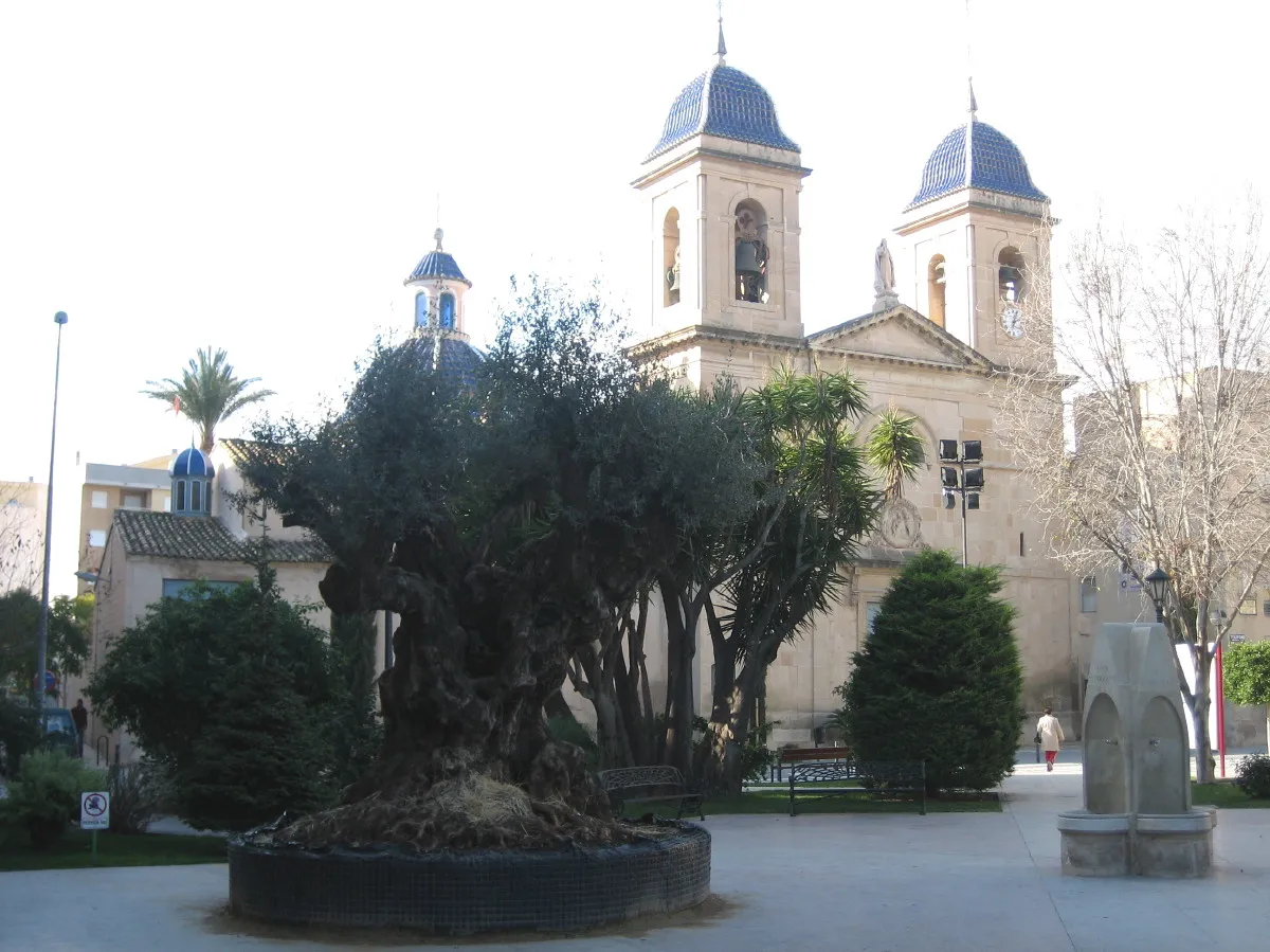 Photo showing: San Juan de Alicante: foto de la plaza del Ayuntamiento, con la iglesia al fondo  (tomada a enero del 2006)