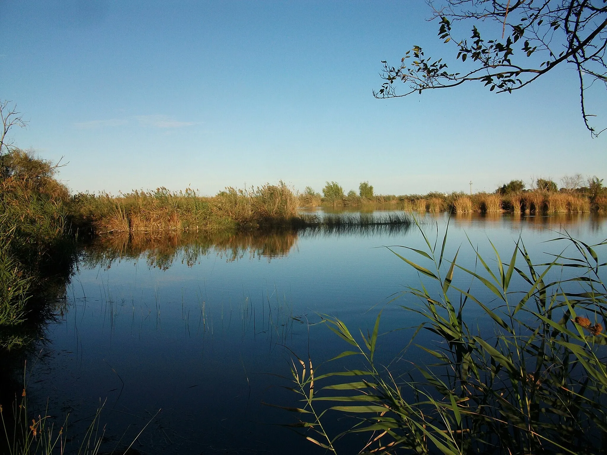 Photo showing: Els estanys d'Almenara.