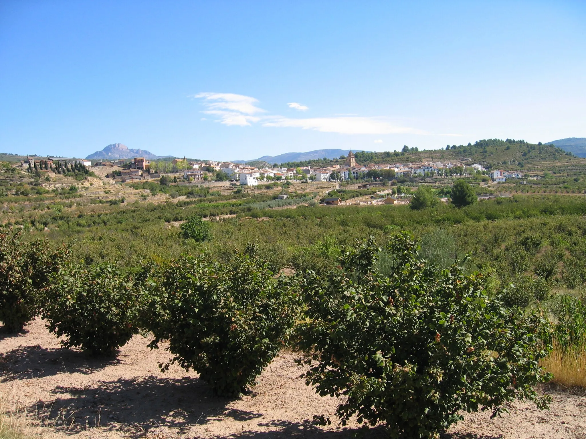 Photo showing: General view of Zucaina (Castelló) from La Santanica