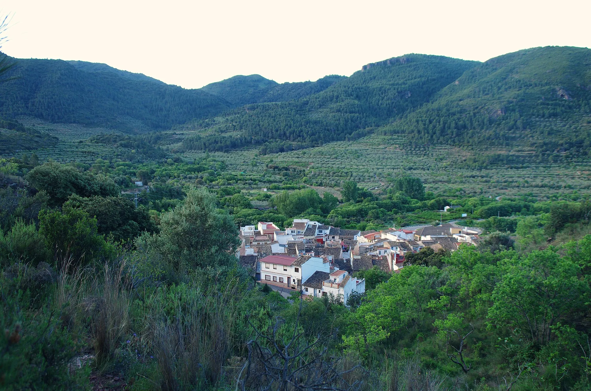 Photo showing: Algimia de Almonacid - Veredas del Barranco del Baladar y del Rápita, Senda de Algimia a la Vereda del Barranco del Baladrar, vista a Alginia