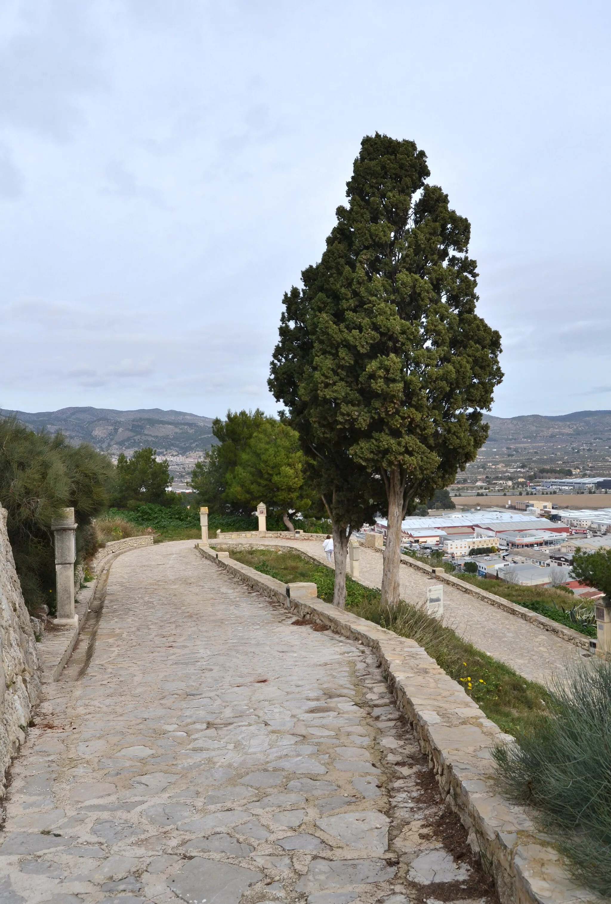 Photo showing: Camí de pujada al castell de Castalla.