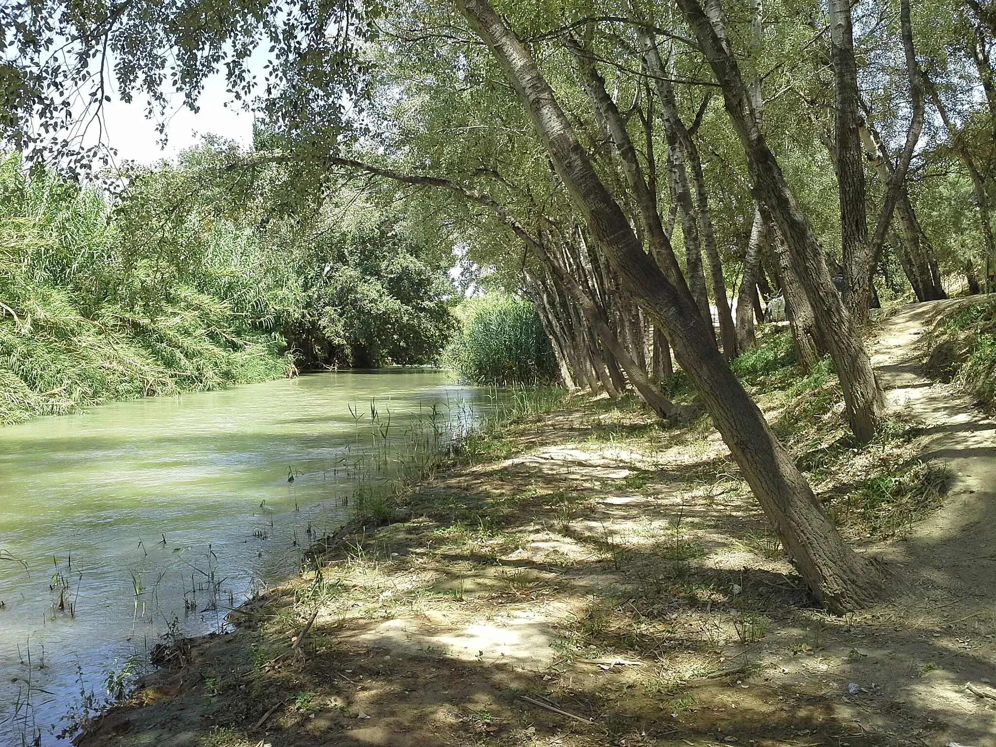 Photo showing: Río Segura Soto los Álamos
