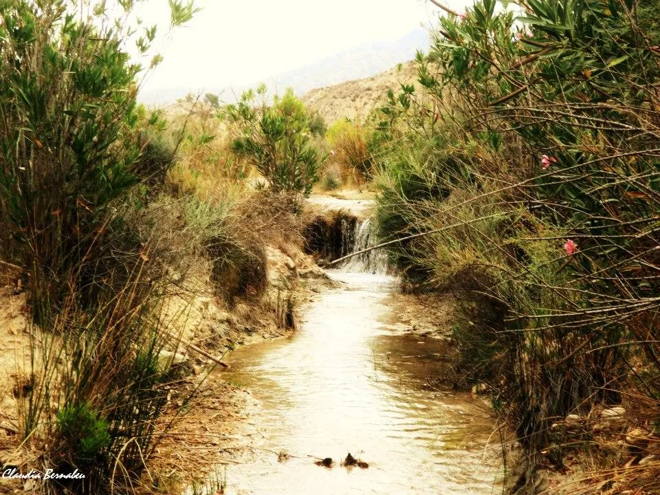 Photo showing: Section of the lower Chícamo's river in Abanilla, Murcia, Spain.
