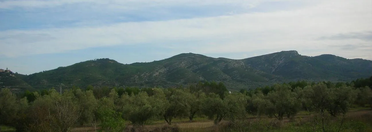 Photo showing: Serra de la Vall d'Àngel mountain chain. Northern end seen from the east