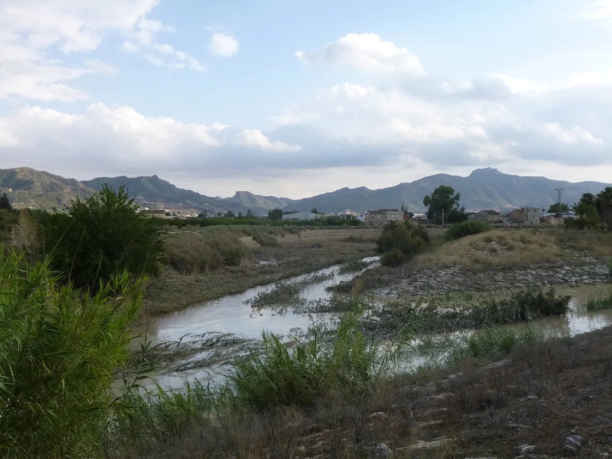 Photo showing: Confluencia de los ríos Segura y Guadalentín, frente a la localidad de Beniaján.