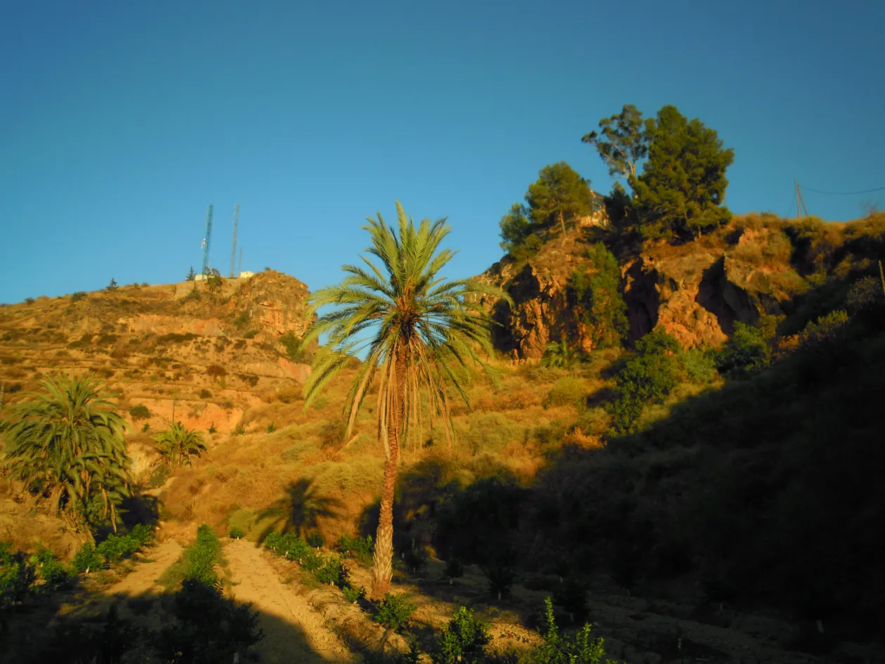 Photo showing: Paraje natural de la sierra de Beniaján, en el que destaca la silueta del cerro conocido como La Cara del Santo.