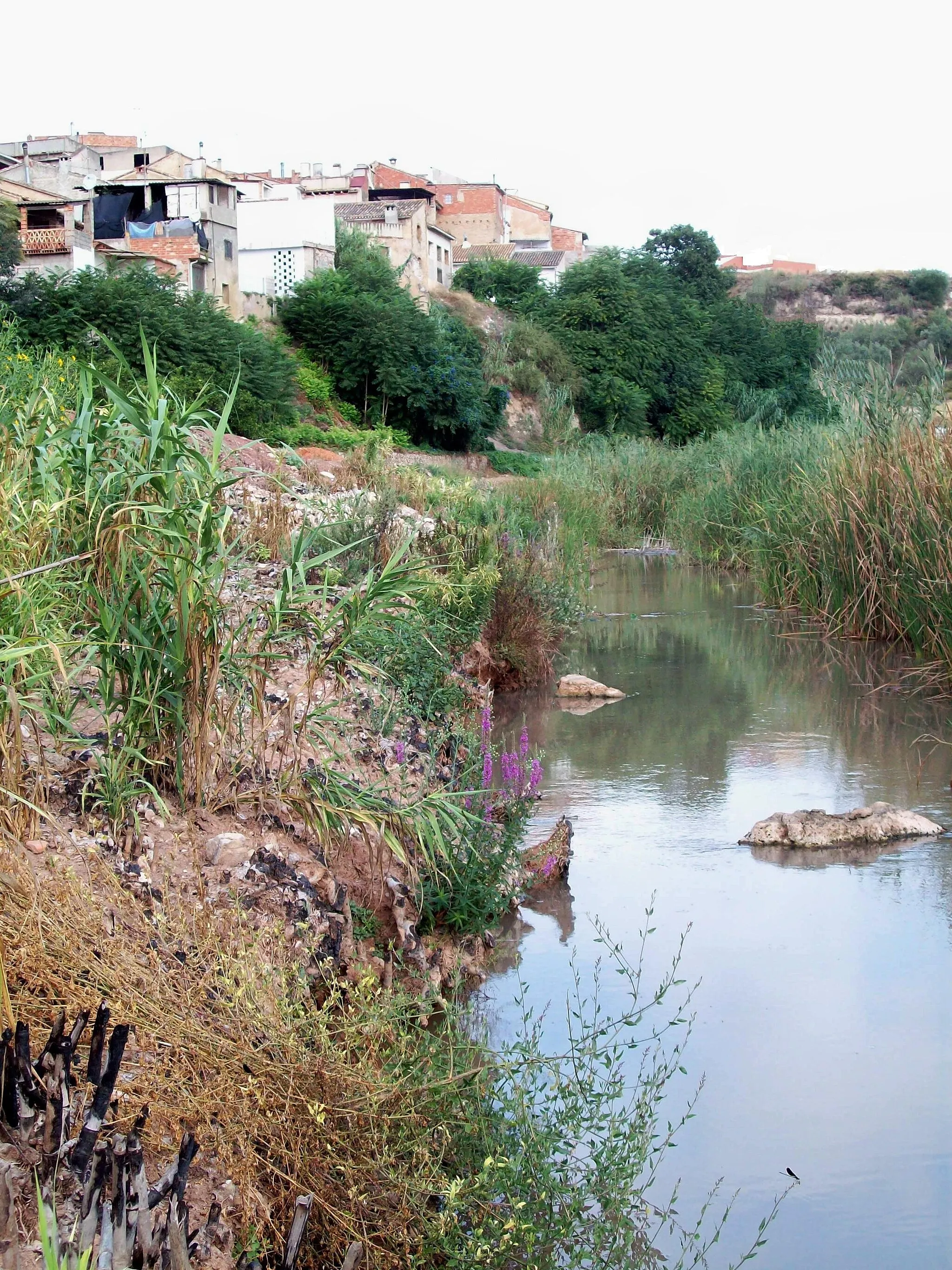 Photo showing: Rio Sellent, a su paso por el pueblo del mismo nombre