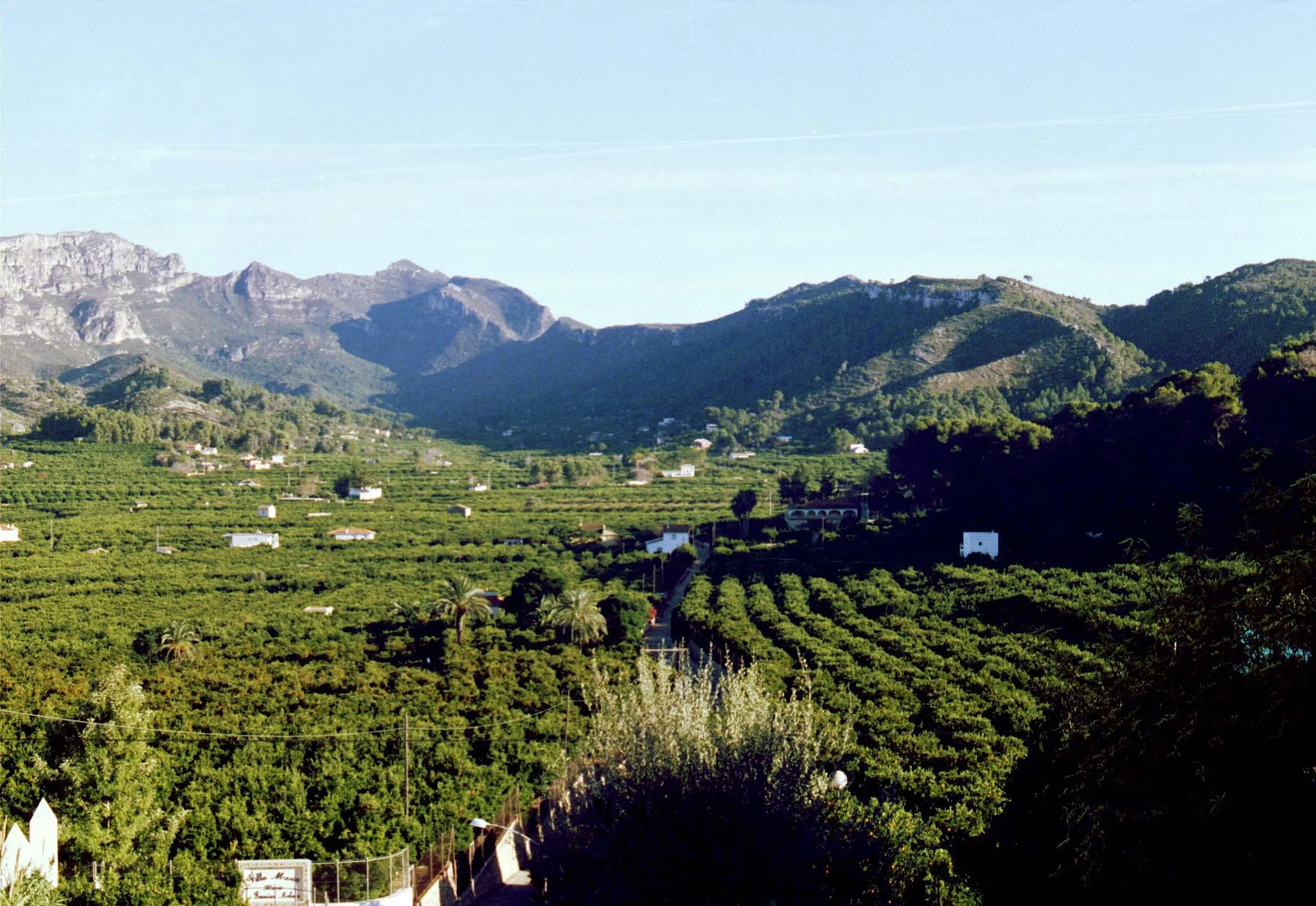 Photo showing: Citrus orchard — in Alzira, the Land of Valencia, Spain.