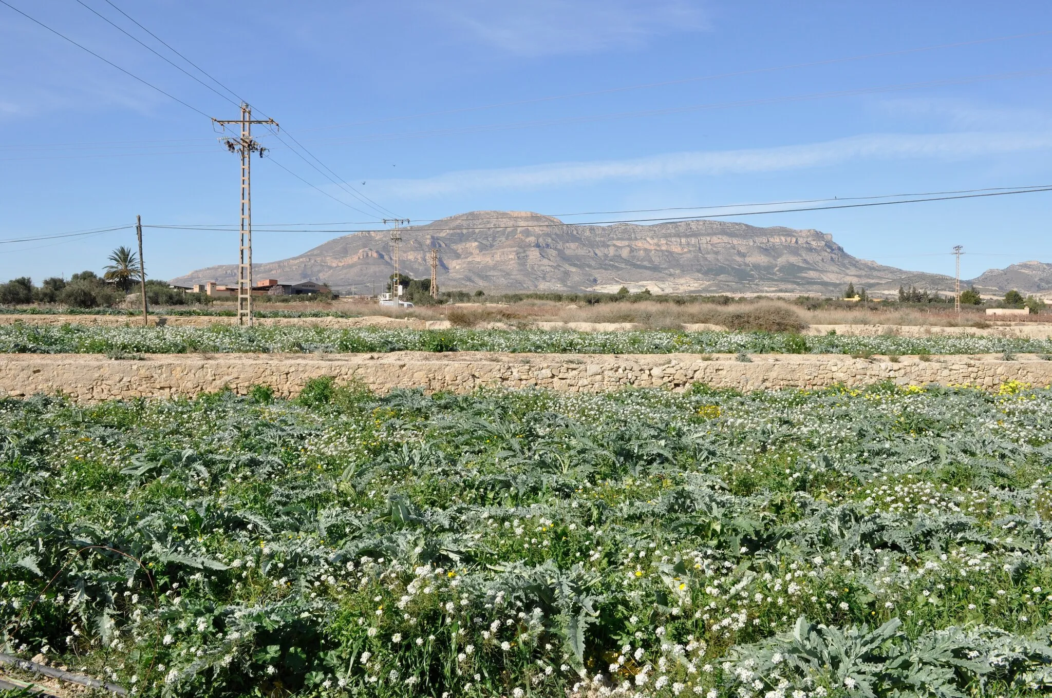 Photo showing: Agost, Alicante.