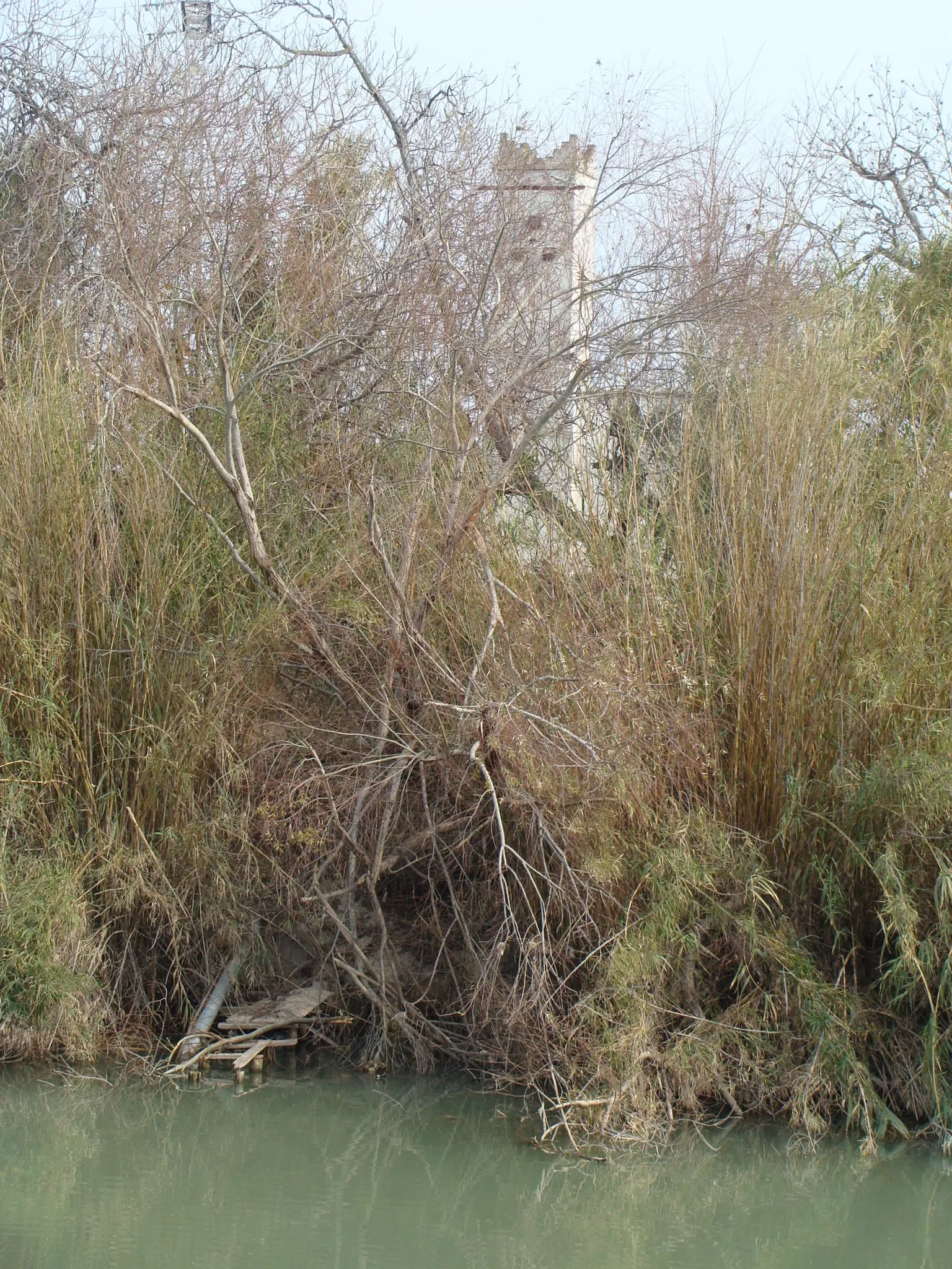 Photo showing: Bombeo de agua del río Júcar para la alimentación de acequias a los arrozales de Sueca. Puede verse entre la vegetación ribereña, la tubería de aducción y la torre del motor de bombeo. El lugar queda en la ribera izquierda del río muy cerca de Fortaleny.