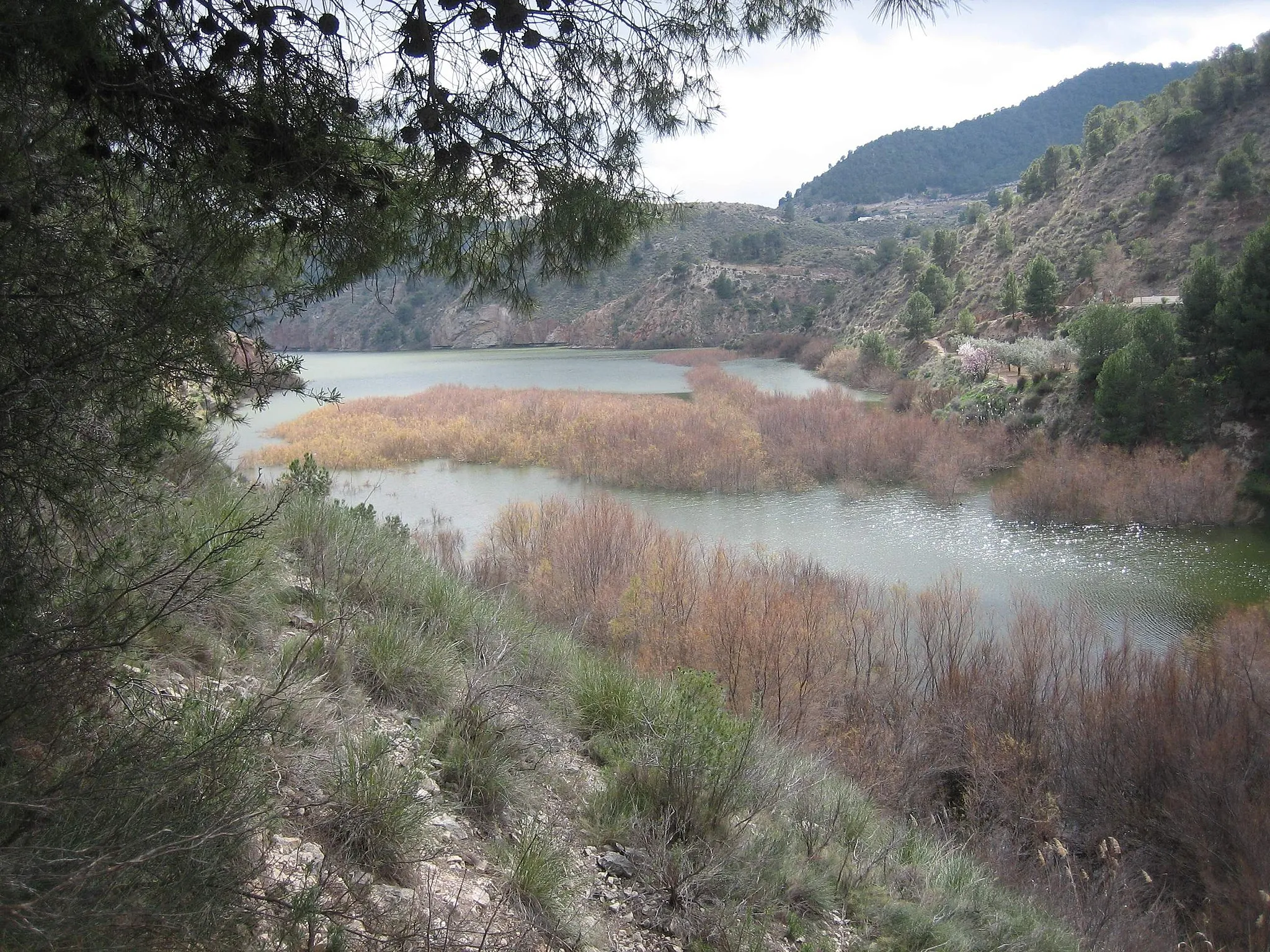 Photo showing: Vista de la cola del pantano de Tibi, donde se recogen las aguas del Río Verde (Alicante, España). Foto realizada por Rodriguillo el 24/02/2005.