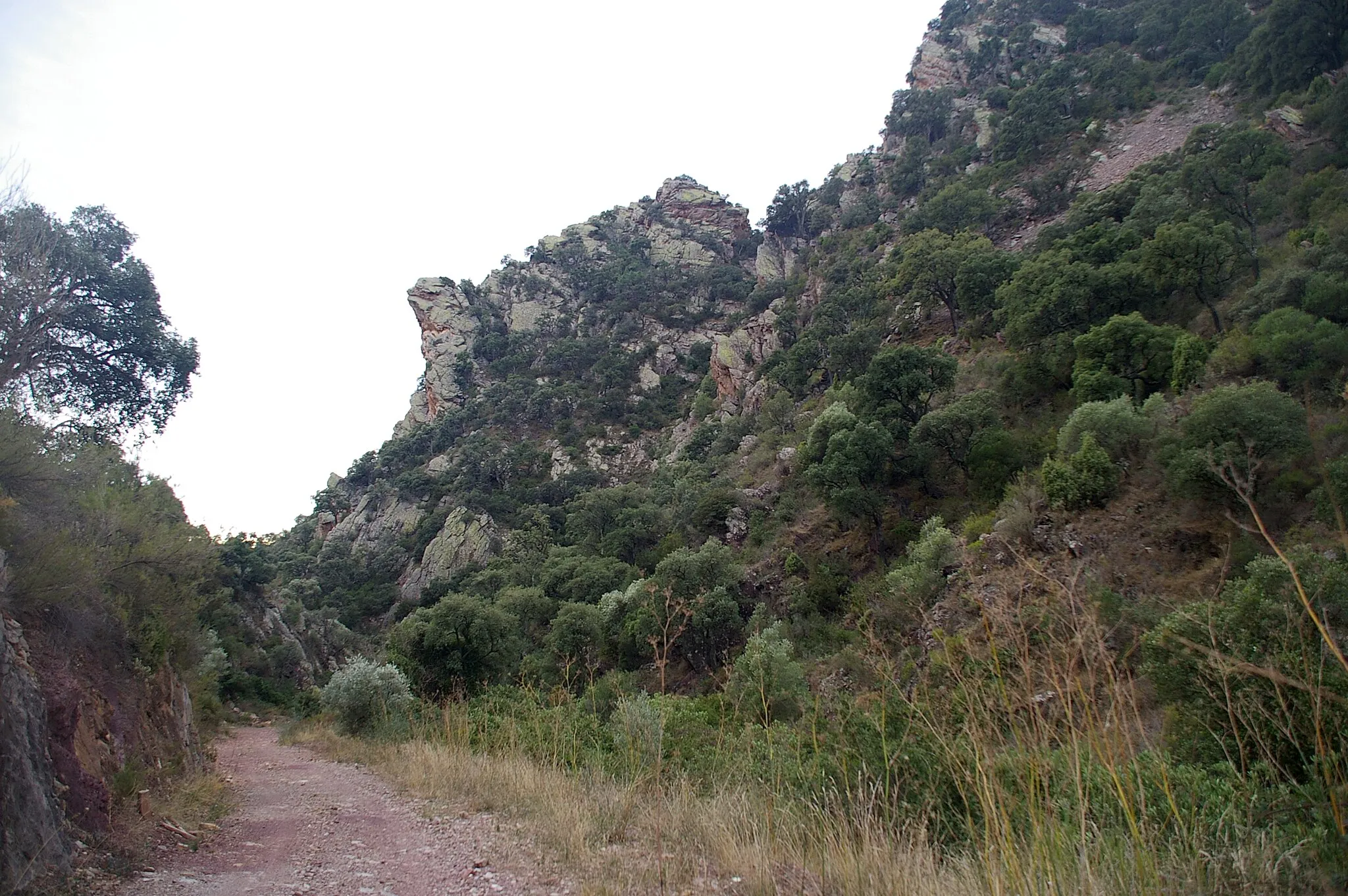 Photo showing: This is a photography of a Special Area of Conservation in Spain with the ID: