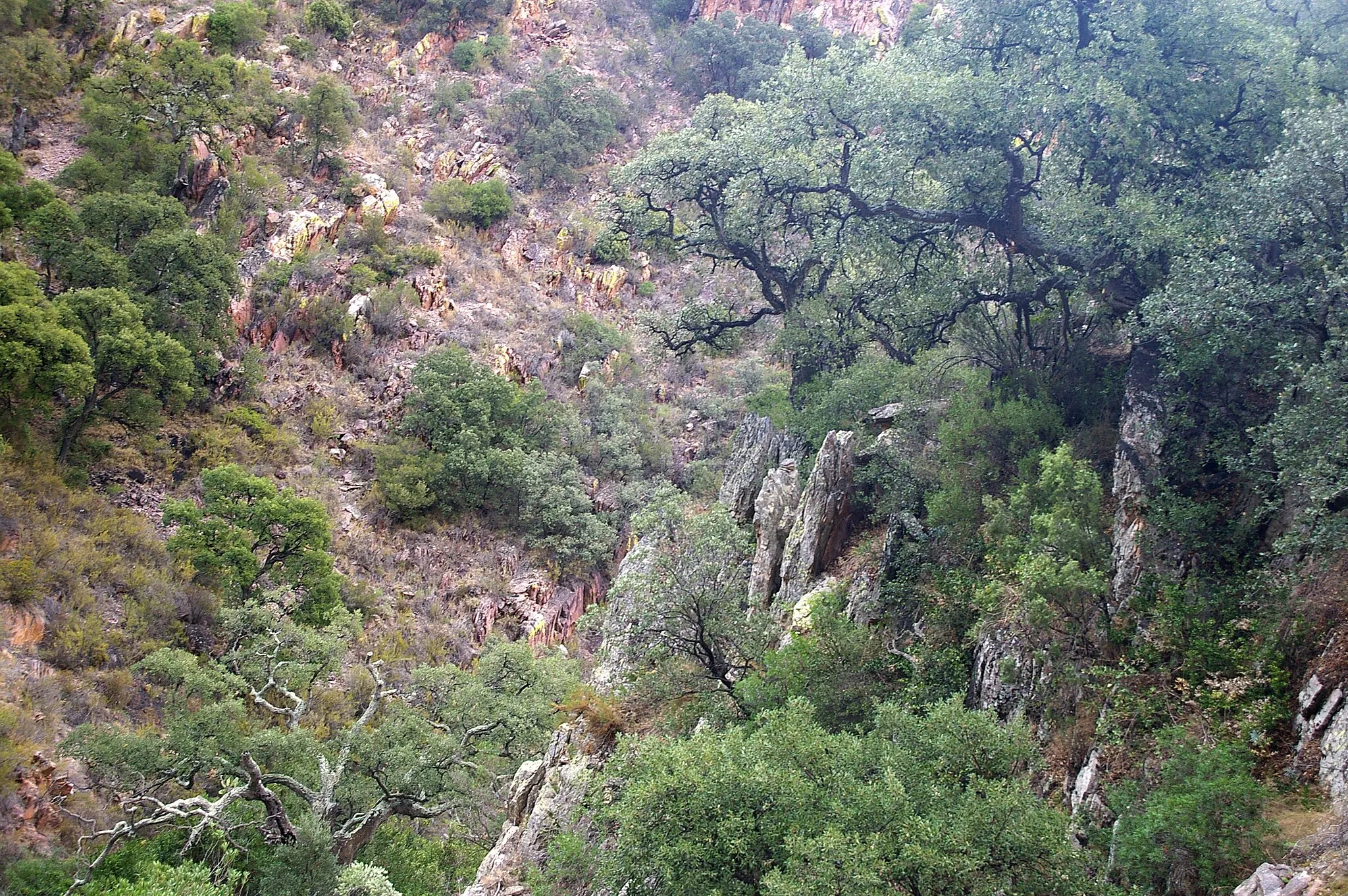 Photo showing: This is a photography of a Special Area of Conservation in Spain with the ID: