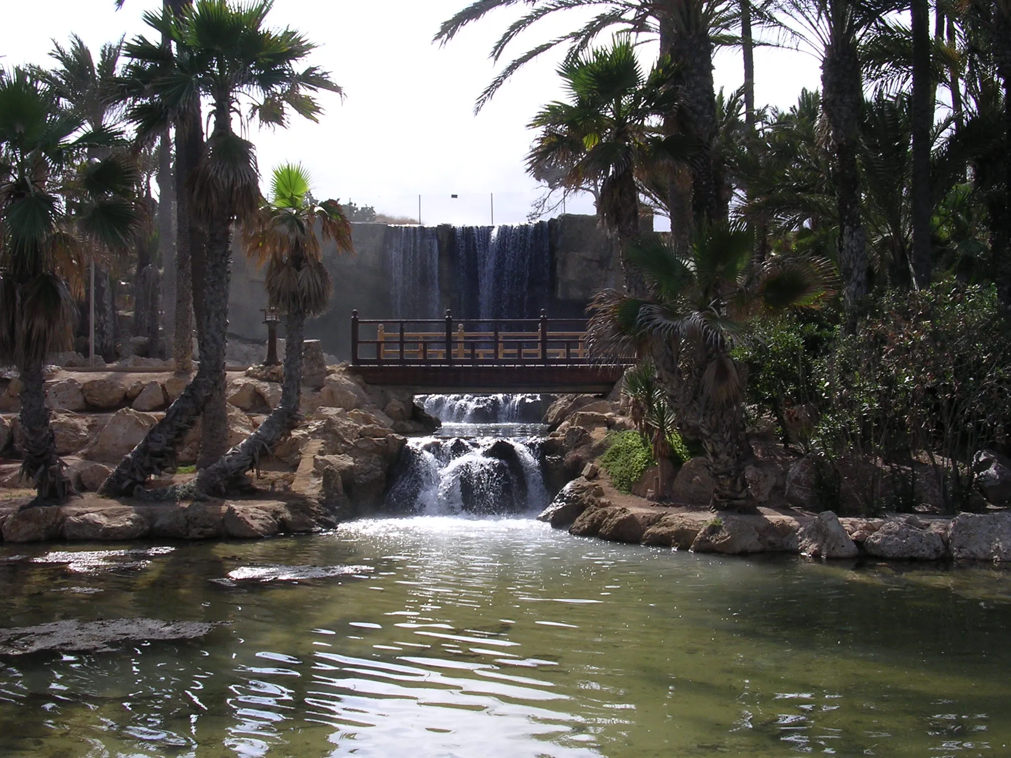 Photo showing: Parc del Palmeral a Alacant