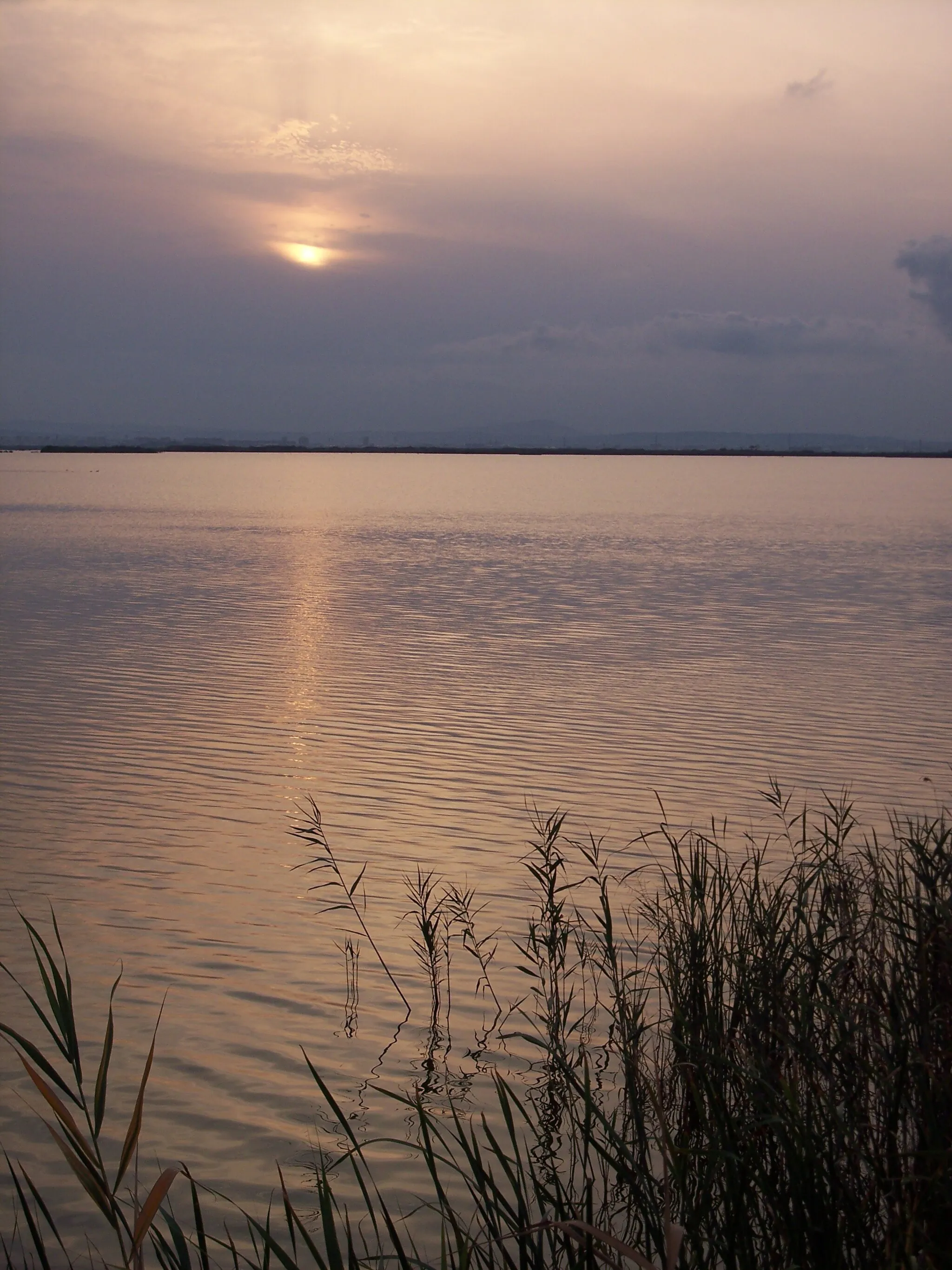 Photo showing: Lago de la La ALbufera-Valencia