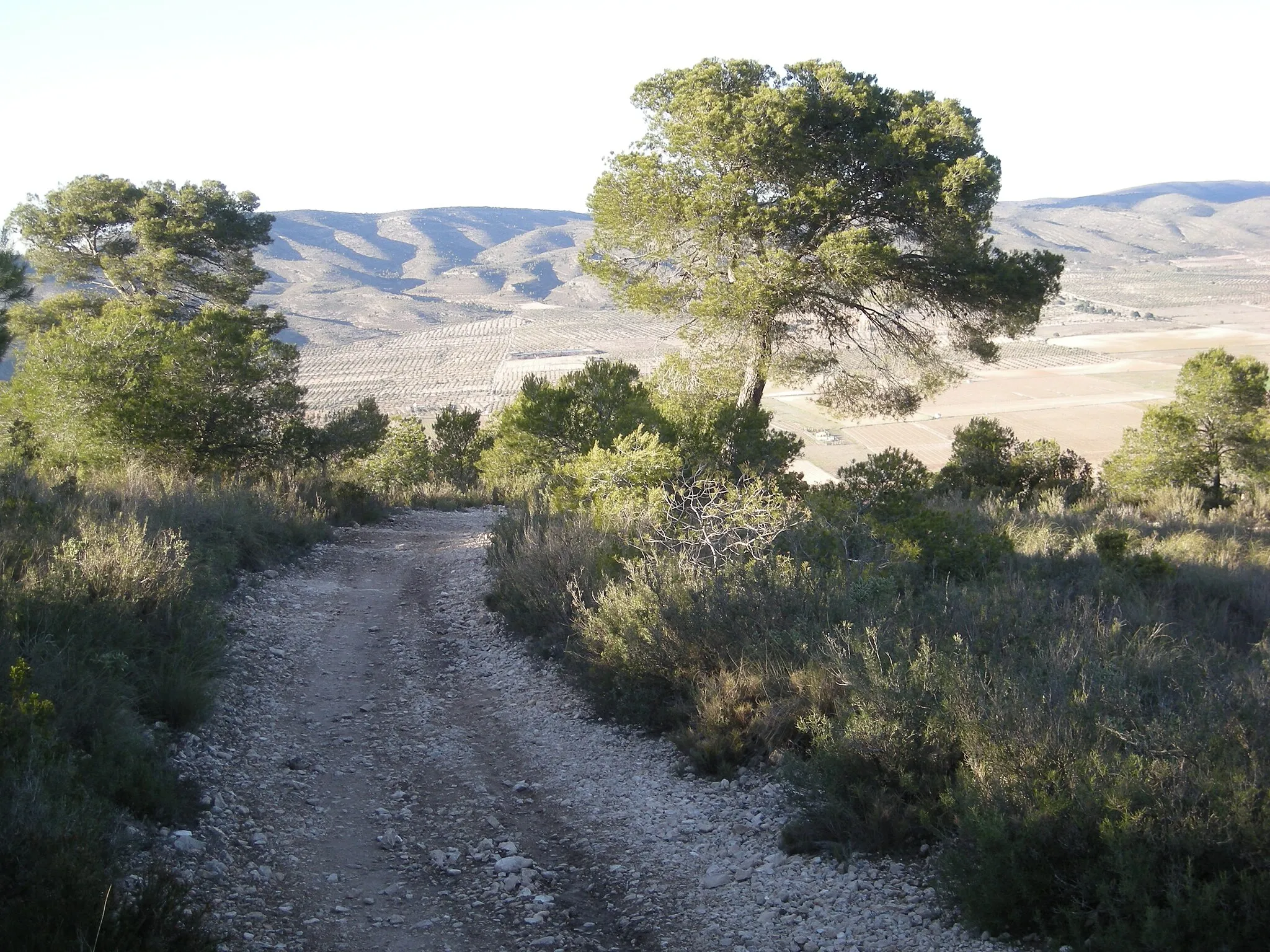 Photo showing: Camí desde la Casa del Médico cap al Portitxol, en la Serra de Sant Cristòfol (sender PR-CV 312, Villena).