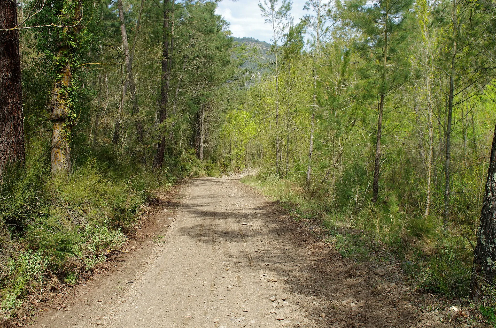 Photo showing: This is a photography of a Special Area of Conservation in Spain with the ID: