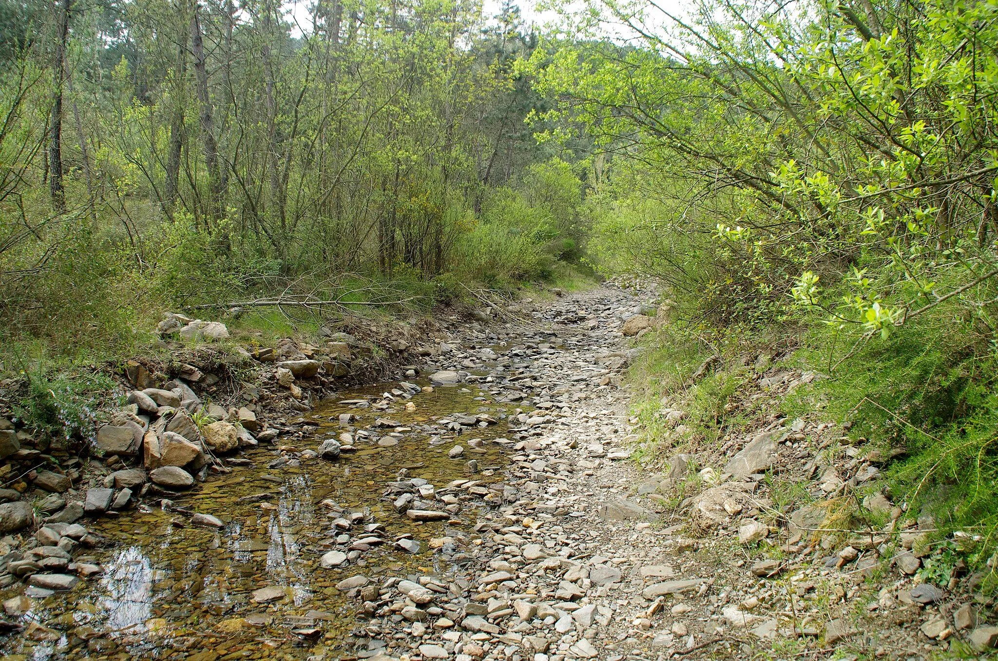 Photo showing: This is a photography of a Special Area of Conservation in Spain with the ID: