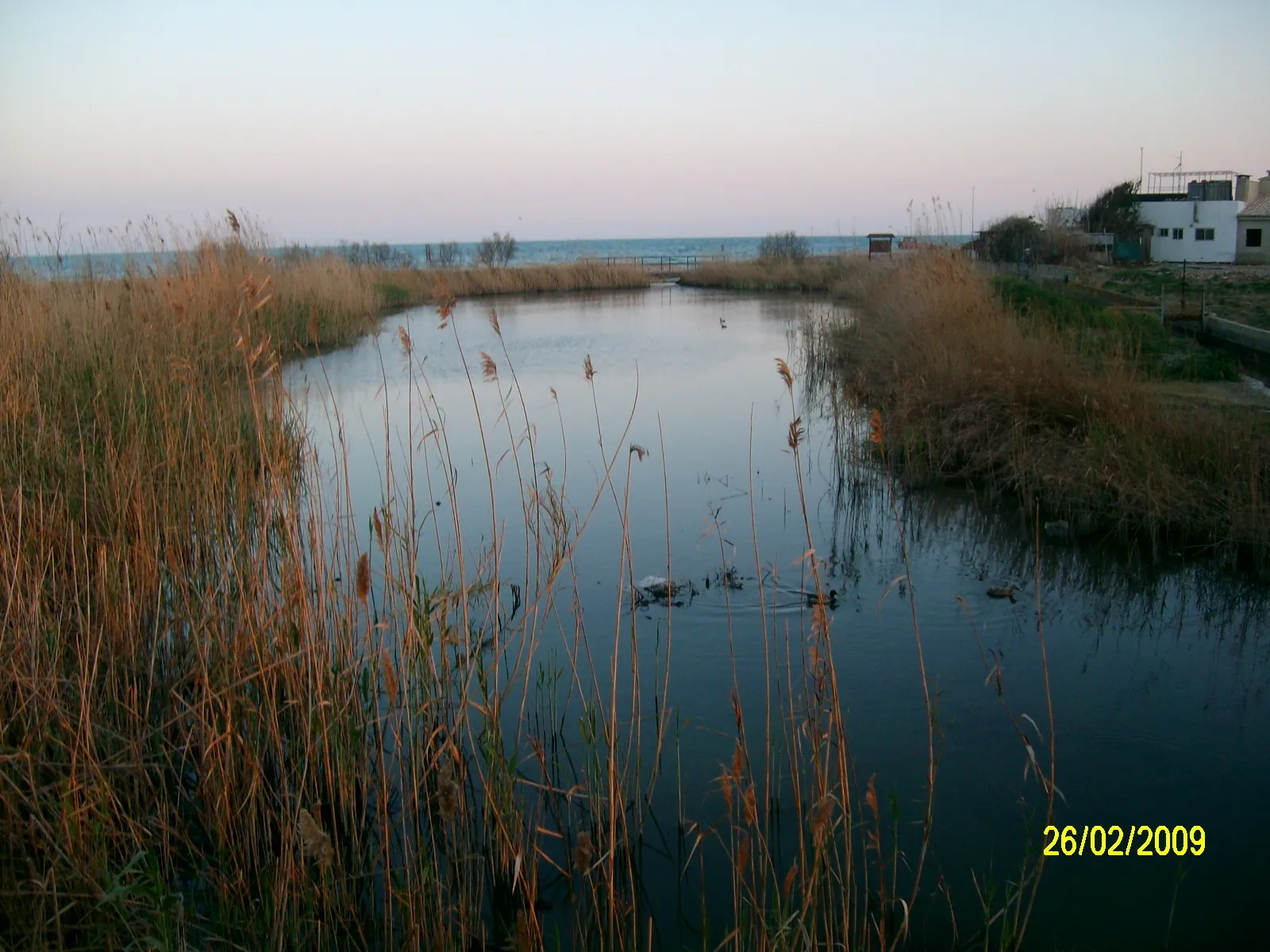 Photo showing: Estany de Puçol a la Marjals dels Moros