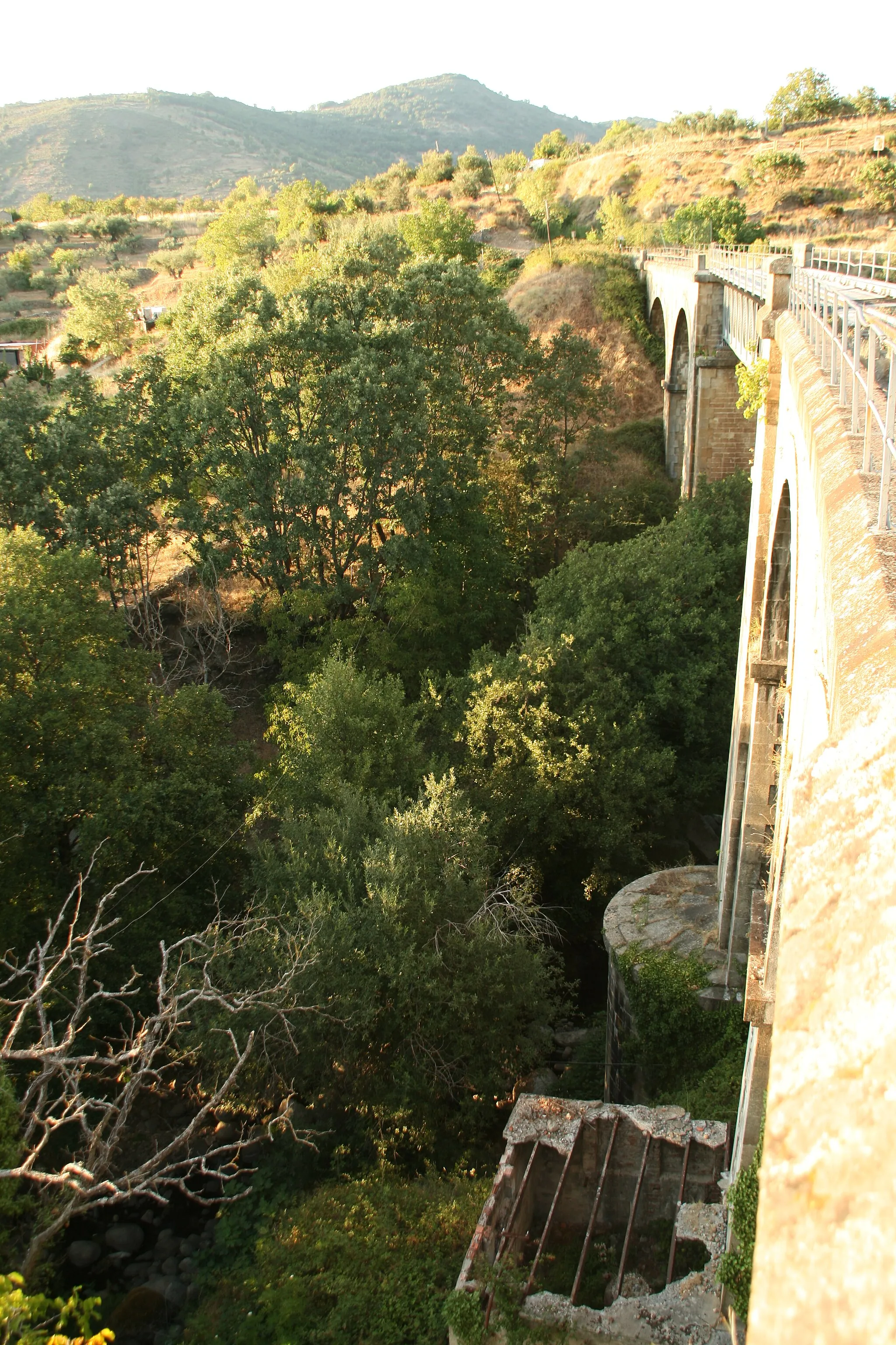 Photo showing: Puente ferroviario de la línea Astorga-Plasencia sobre el río Ambroz a su paso por Hervás. La línea fue desmantelada y el acceso al puente está prohibito
