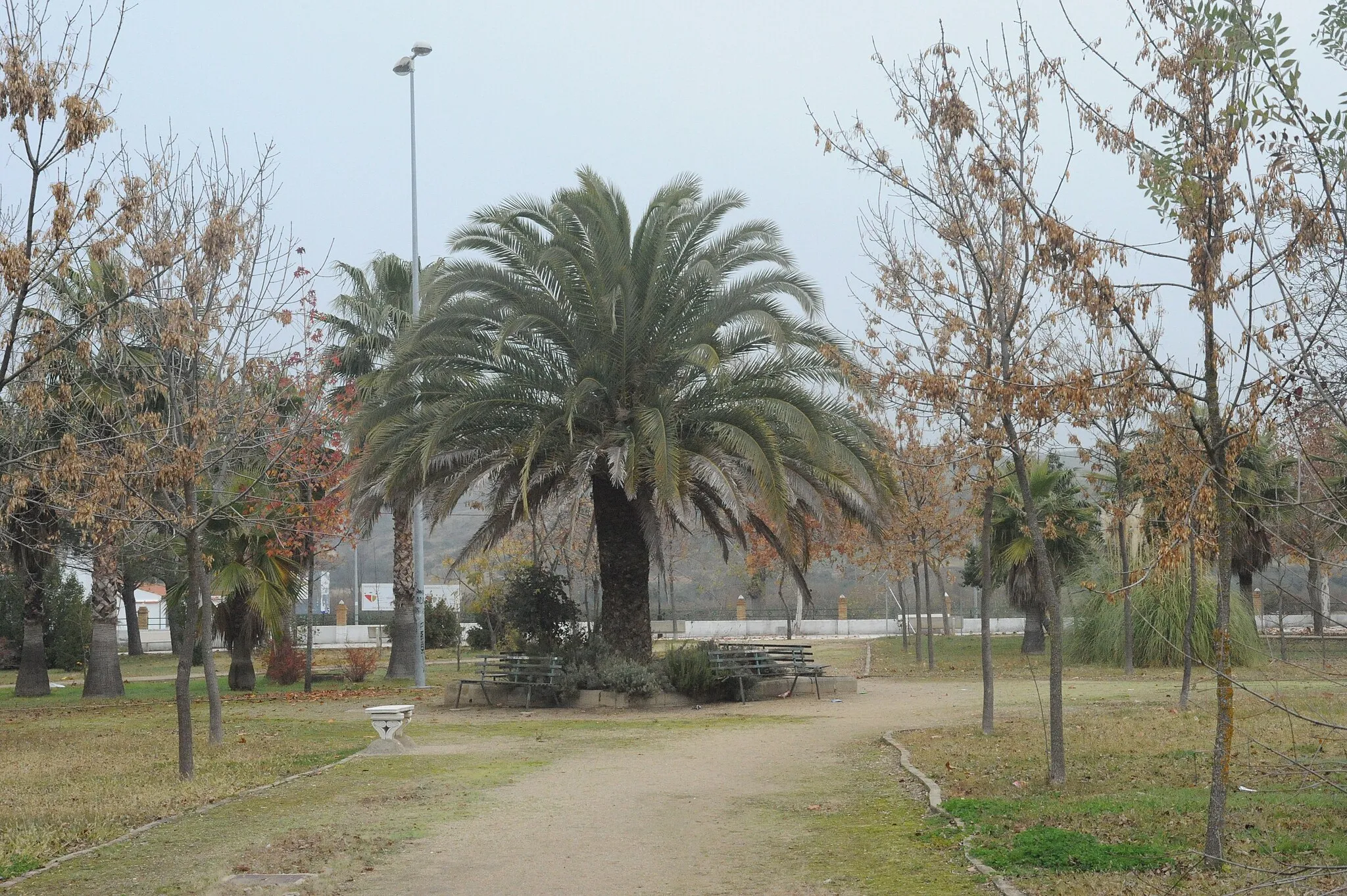 Photo showing: Jardín Botánico de Riolobos, (Cáceres)