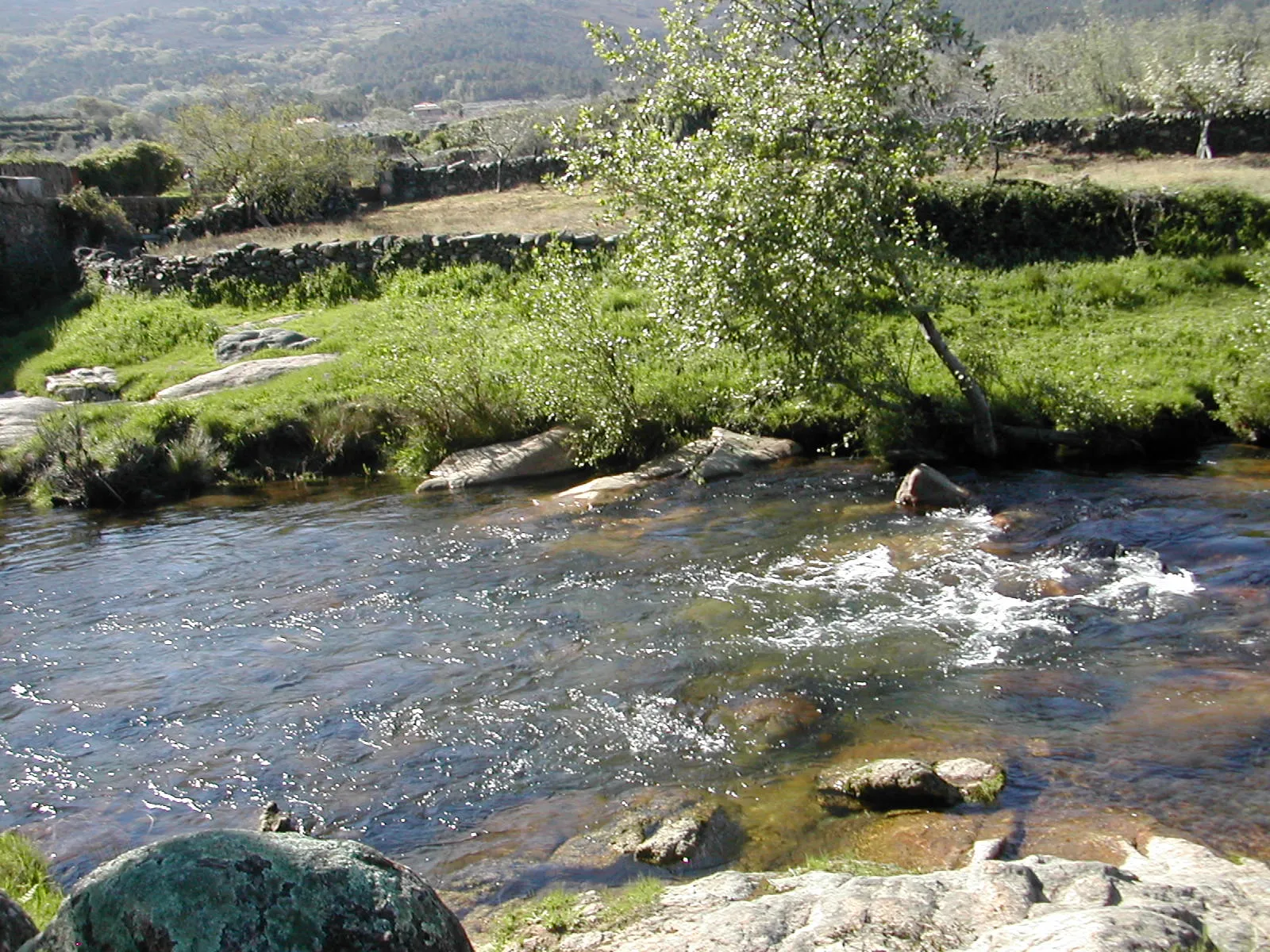 Photo showing: Río Arrago , junto al puente de los Pilares.