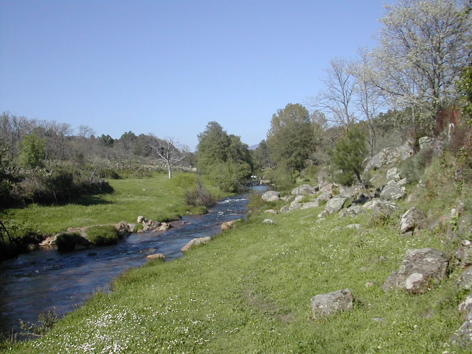 Photo showing: Río Arrago entre los Pilares y la Pesquera.