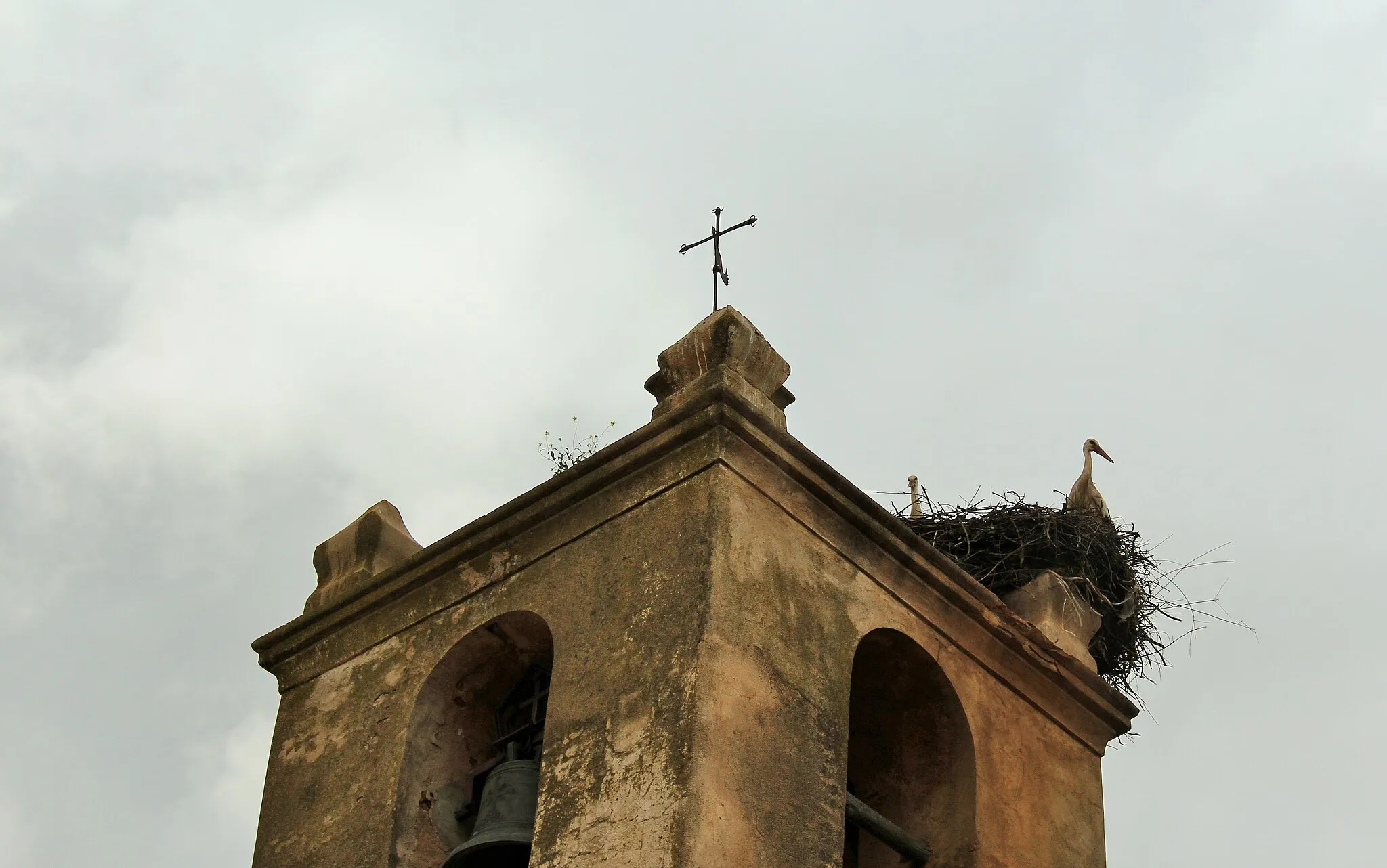 Photo showing: Torre de la iglesia y cigüeñas