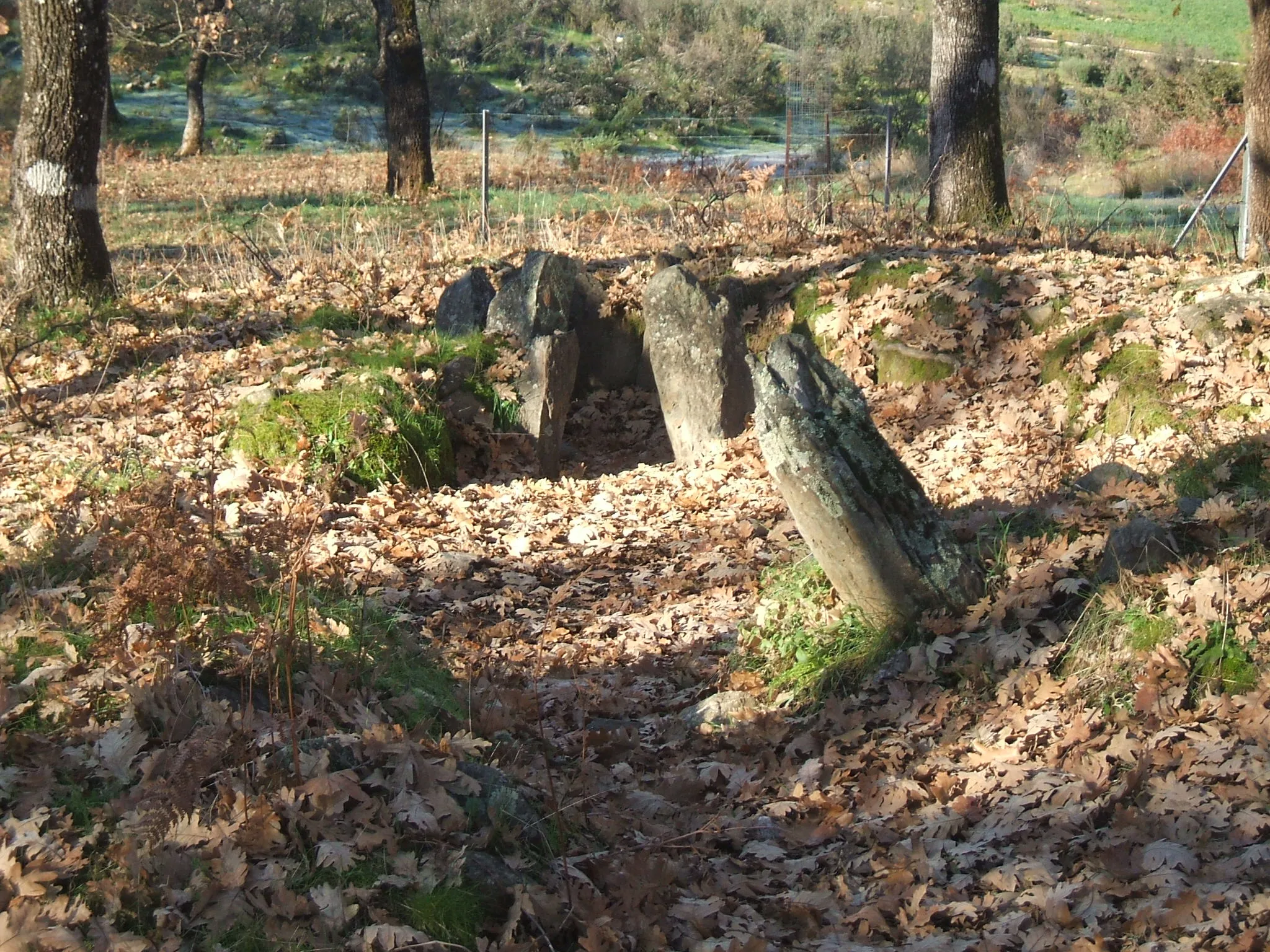 Photo showing: El Dolmen del Matón se encuentra en la Dehesa Boyal del municipio de Hernán-Pérez (Cáceres, España)
