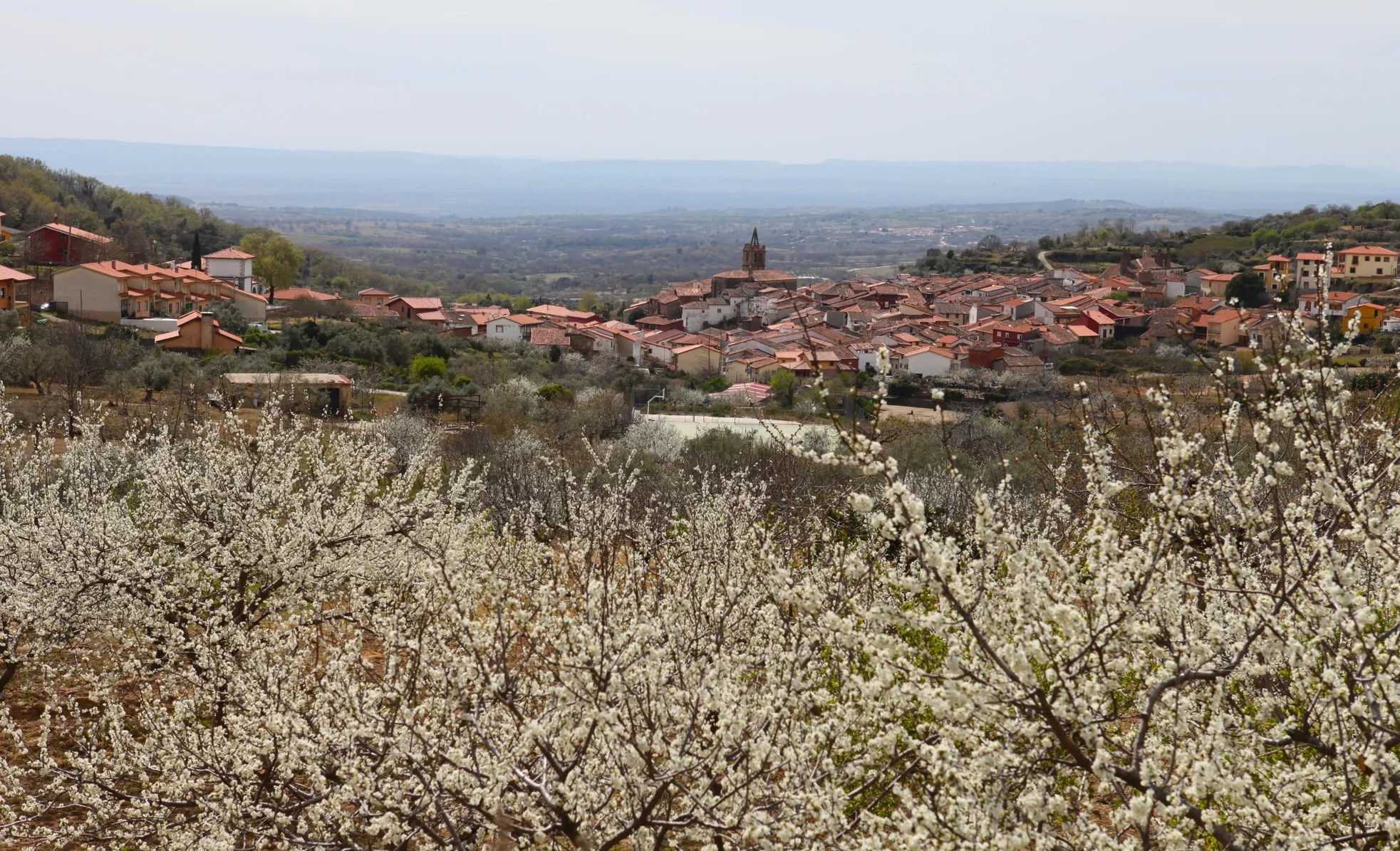 Photo showing: Vista general de Pasarón de La Vera.
