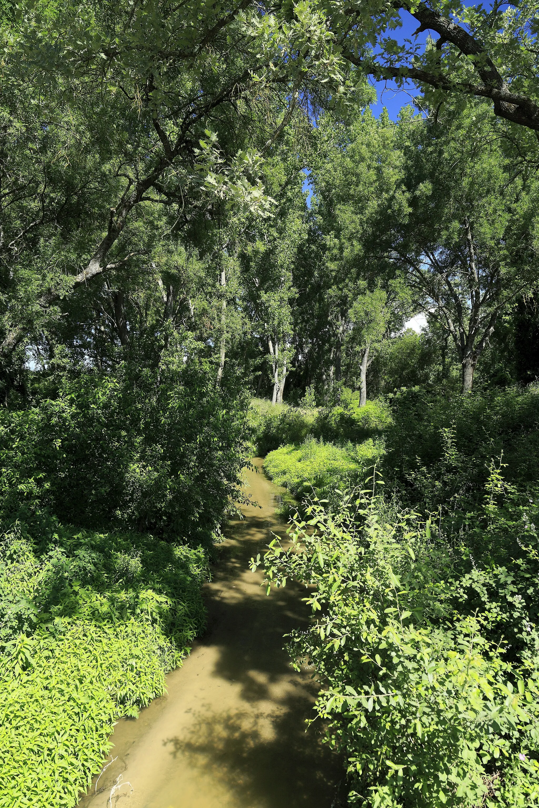 Photo showing: Wenige Meter südwestlich von Tiétar, der Bachlauf scheint namenlos zu sein.