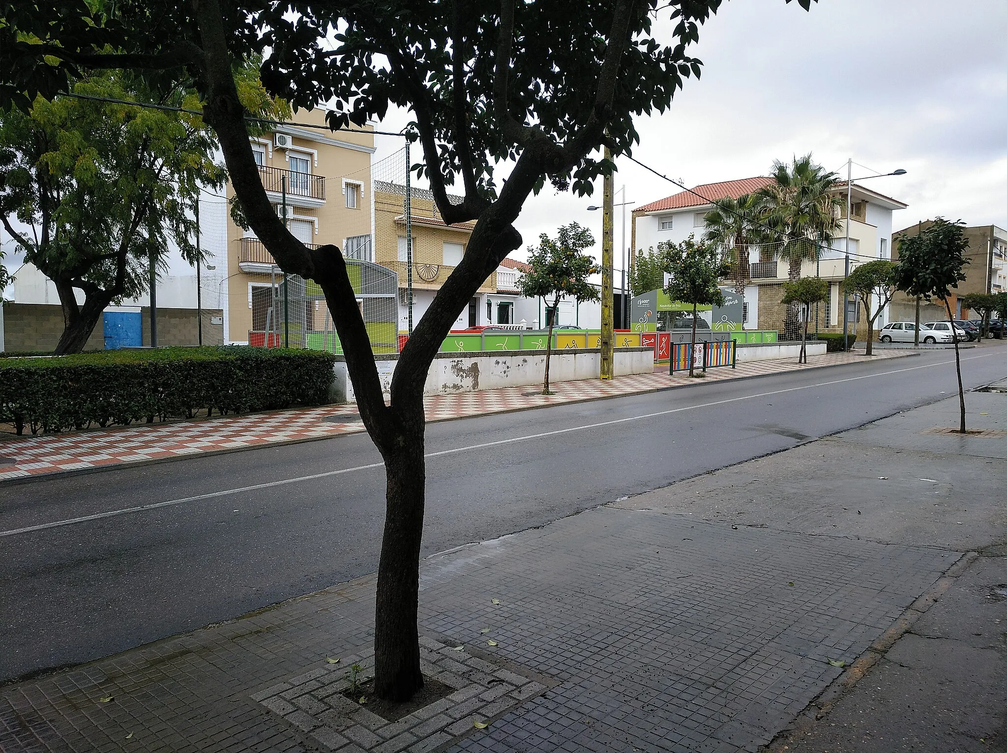 Photo showing: Avenida de la Constitución (Navalvillar de Pela)