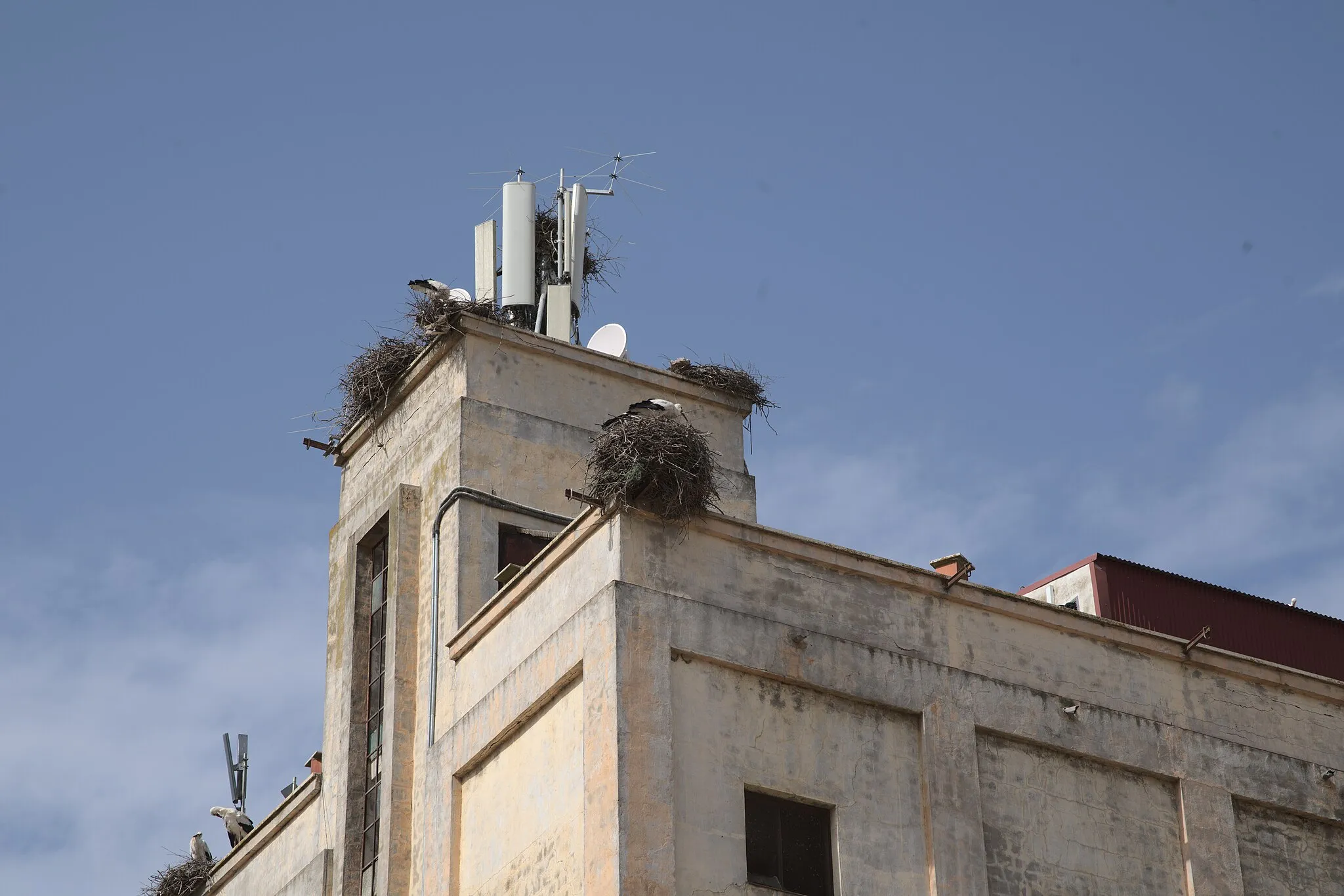 Photo showing: Silo de Santa Amalia