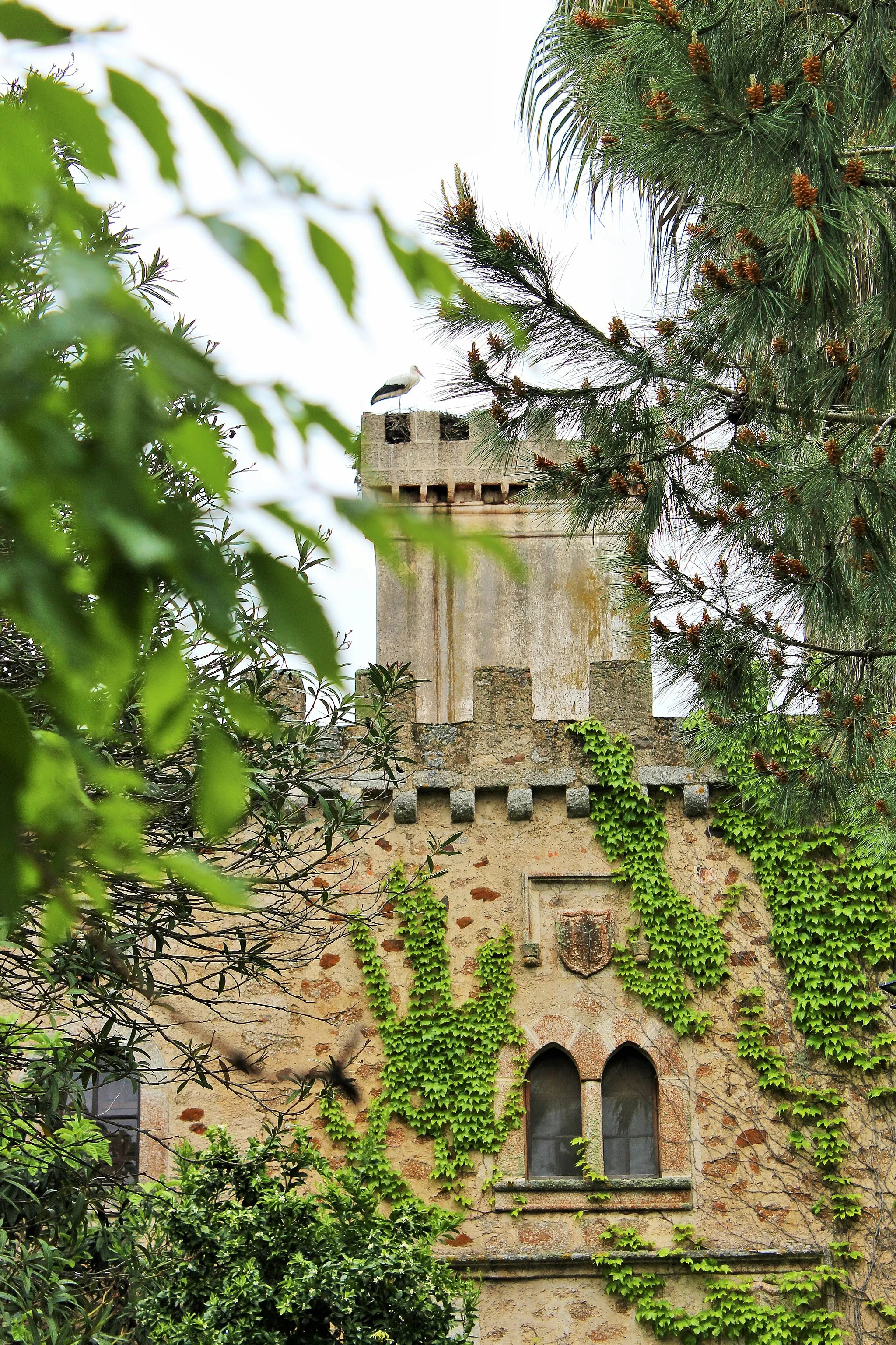 Photo showing: Castillo convertido en lugar de eventos. A unos 10 km. de Cáceres