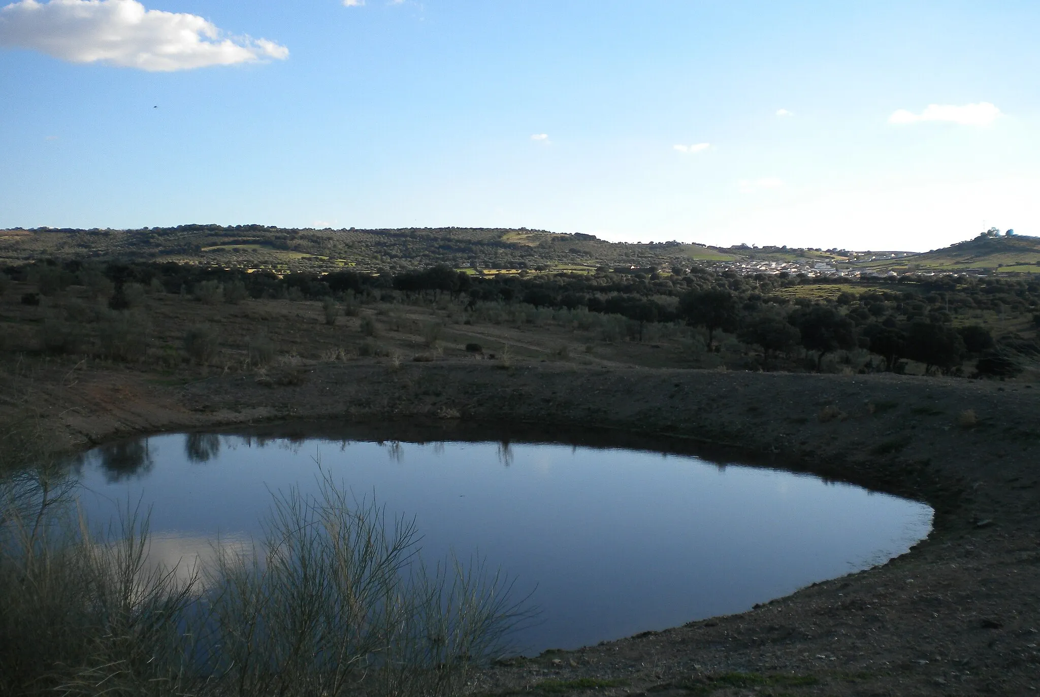 Photo showing: Charca artificial en una finca de Talaván (Extremadura, España)