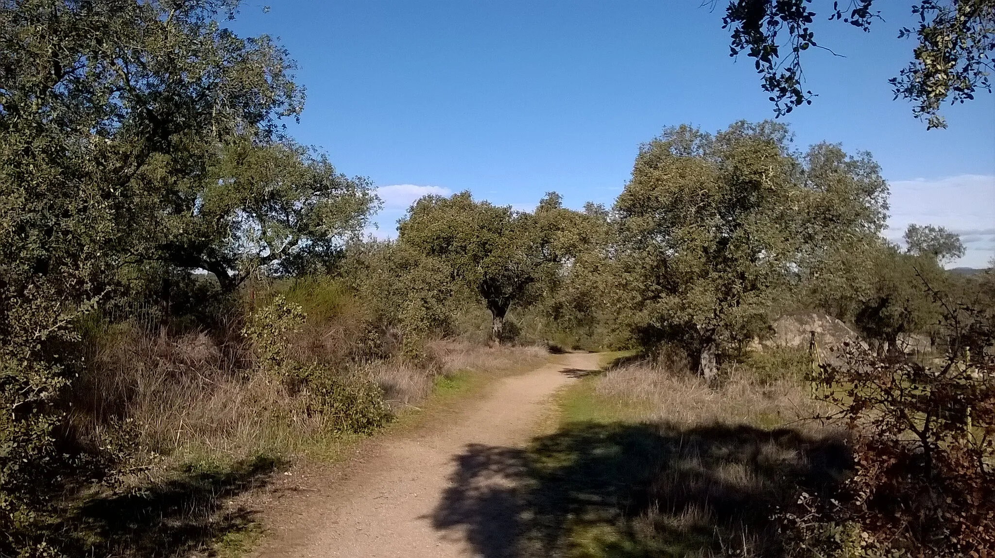 Photo showing: Vista del camino por la dehesa que lleva al dolmen de Lácara (Extremadura, España).