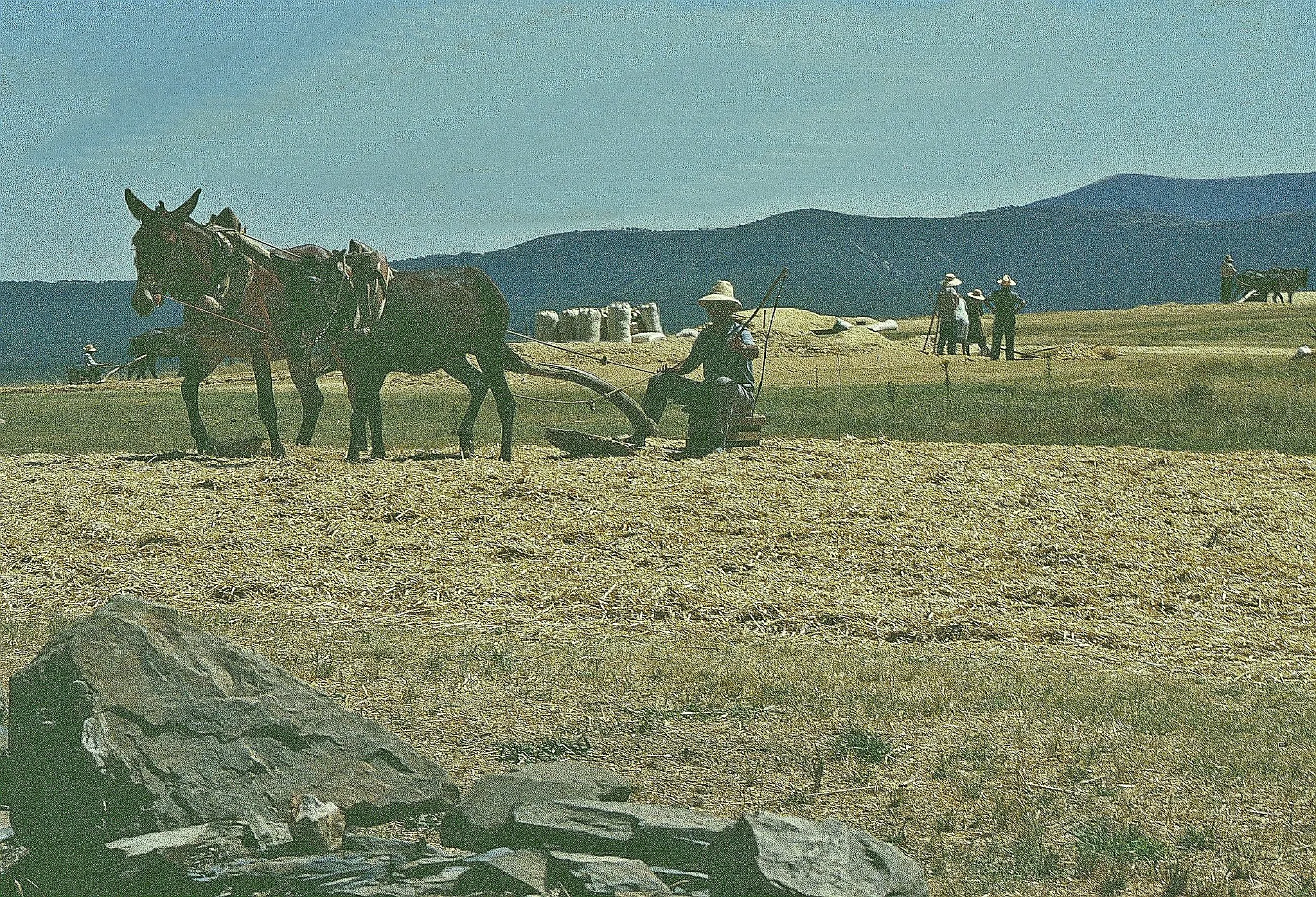 Photo showing: Bauern bei Serradilla del Llano