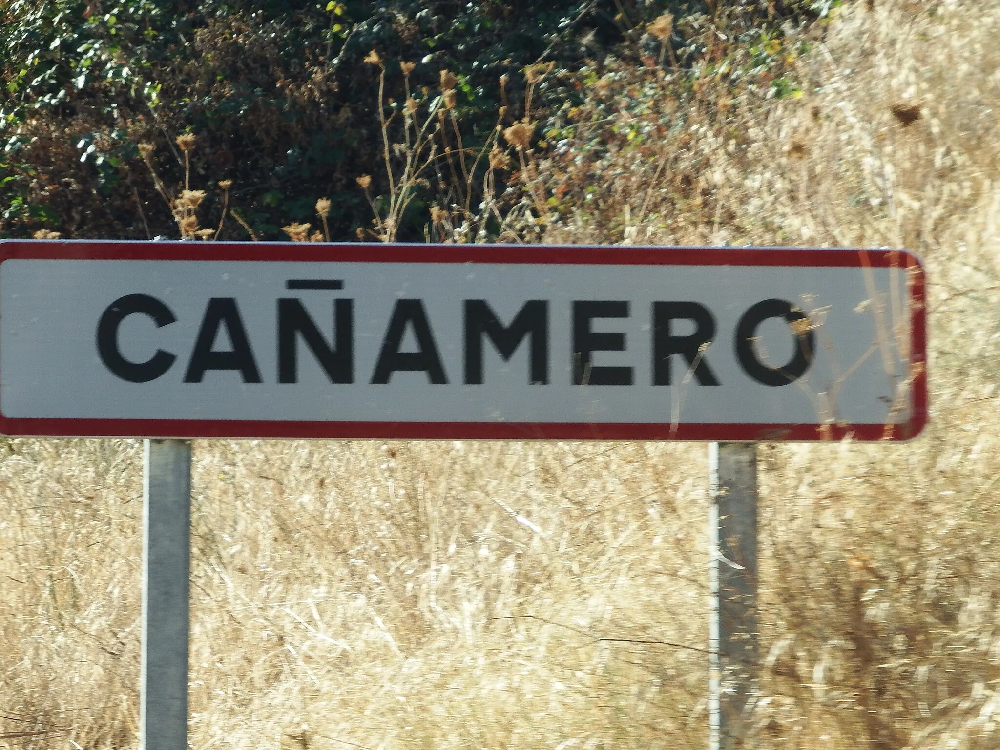 Photo showing: Cañamero