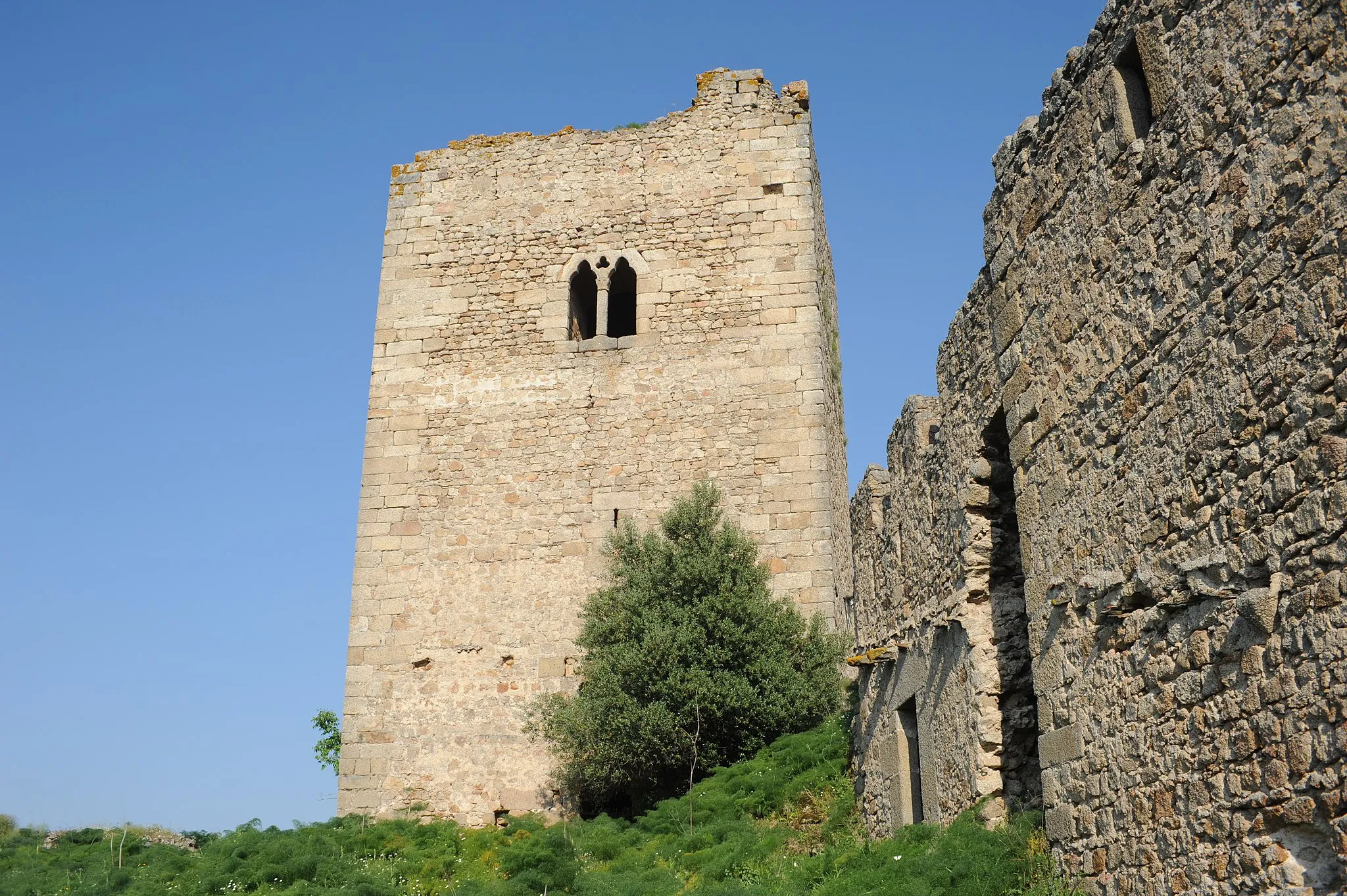 Photo showing: Detalle del Castillo de Peñafiel (Zarza la Mayor)