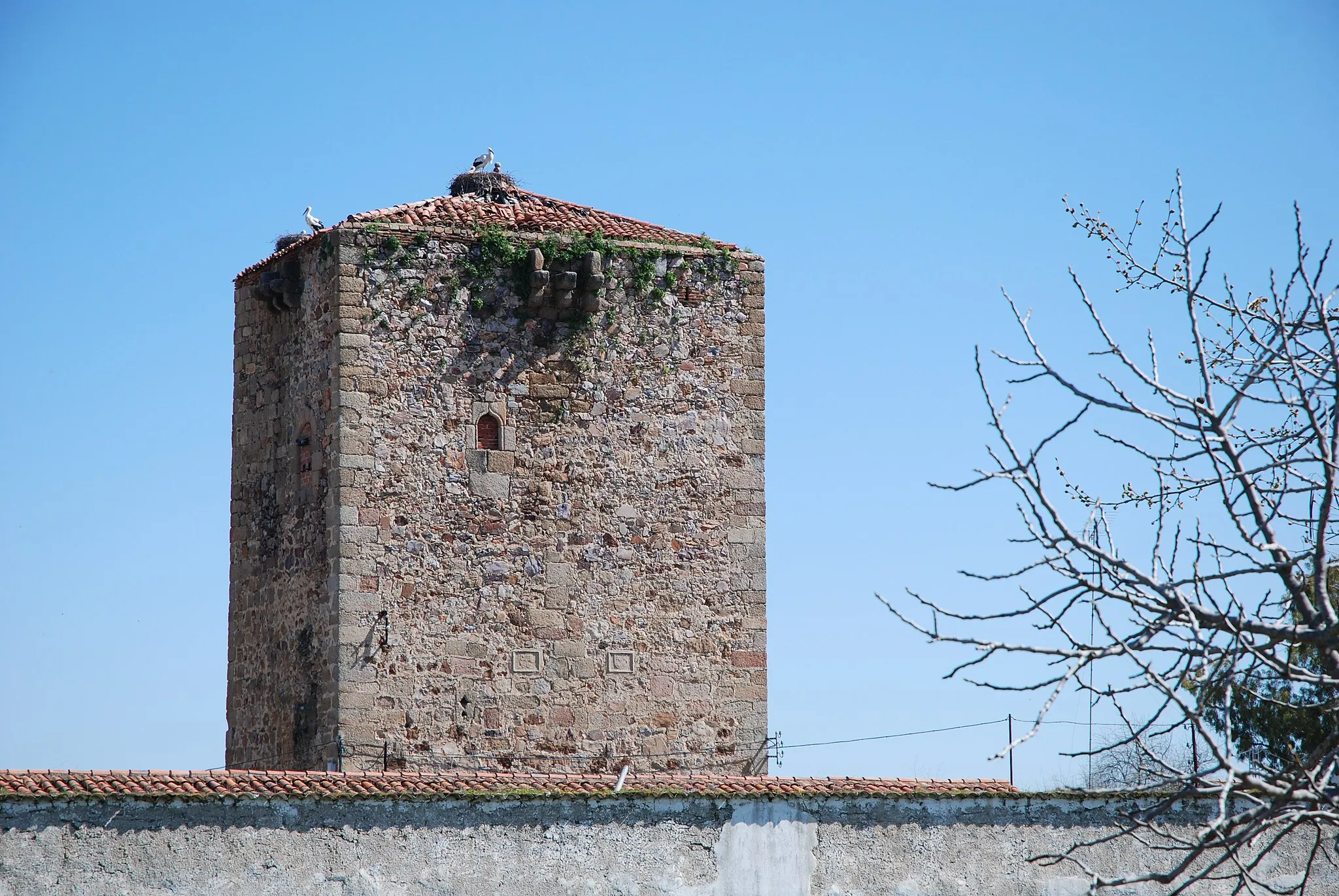 Photo showing: Torre de Almaraz