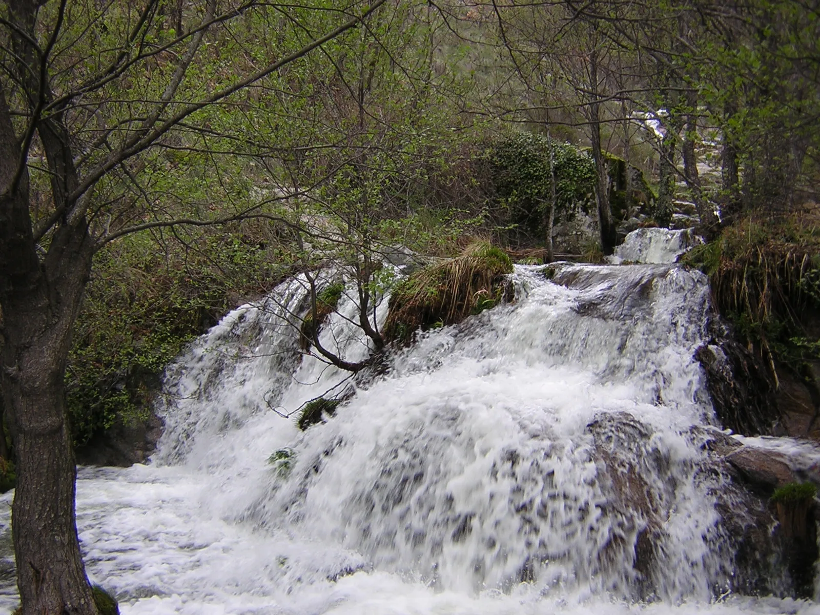 Photo showing: Garganta de La Puria. El Torno