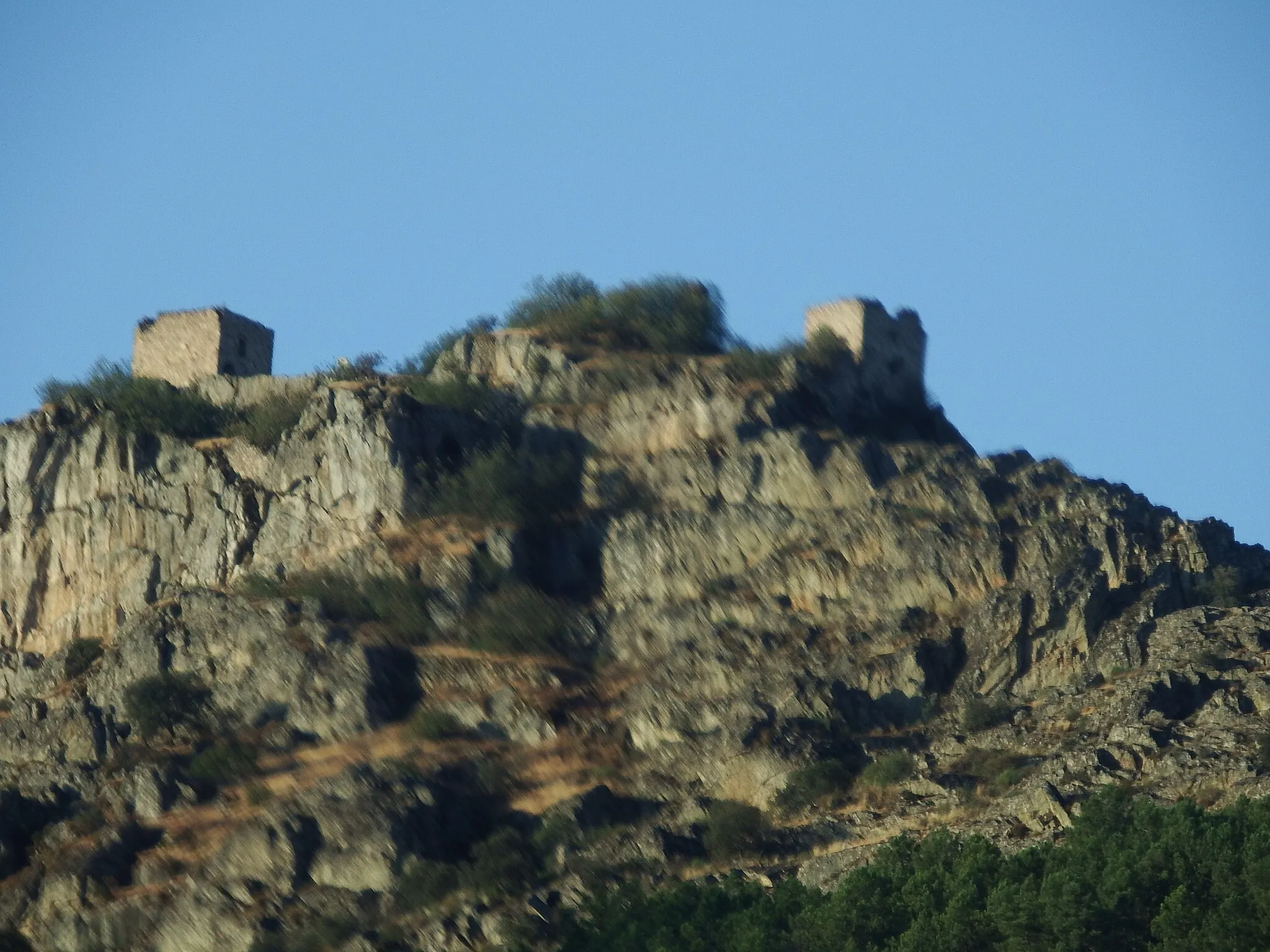 Photo showing: Retamosa (Cabañas del Castillo, Cáceres)