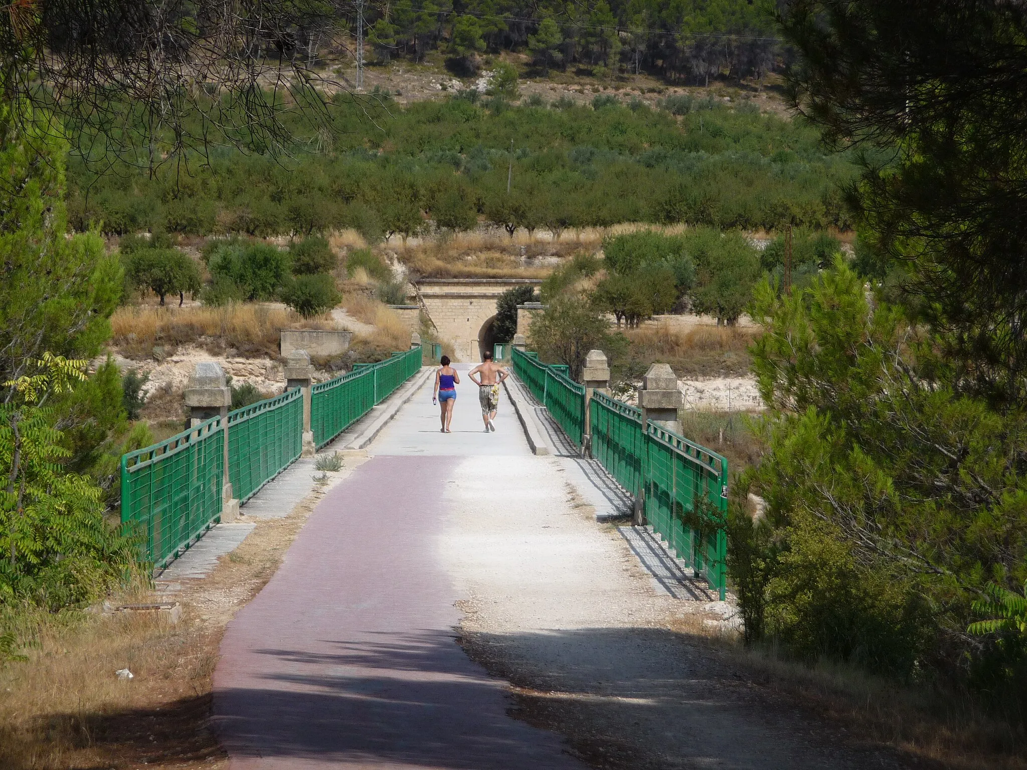 Photo showing: Pont de les Set Llunes (Alcoi)