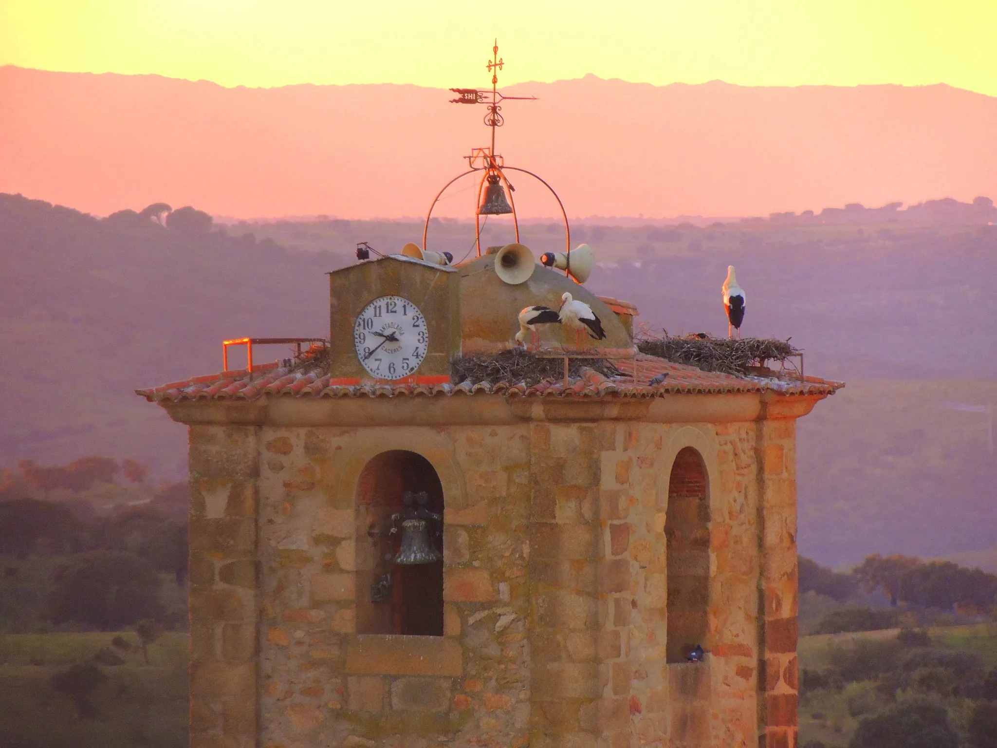 Photo showing: Santa María de Gracia